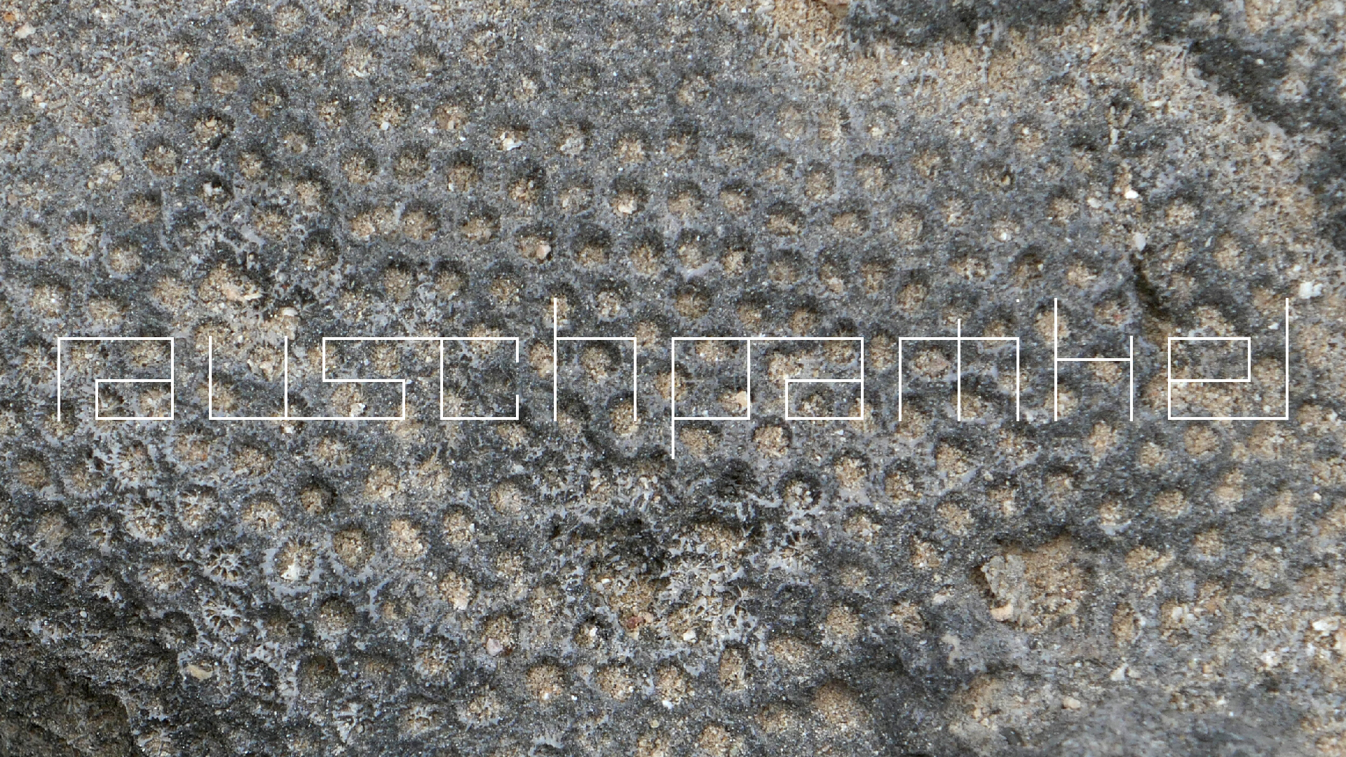 2022-04-23 Shete Boka Nationalpark (Foto, Video)