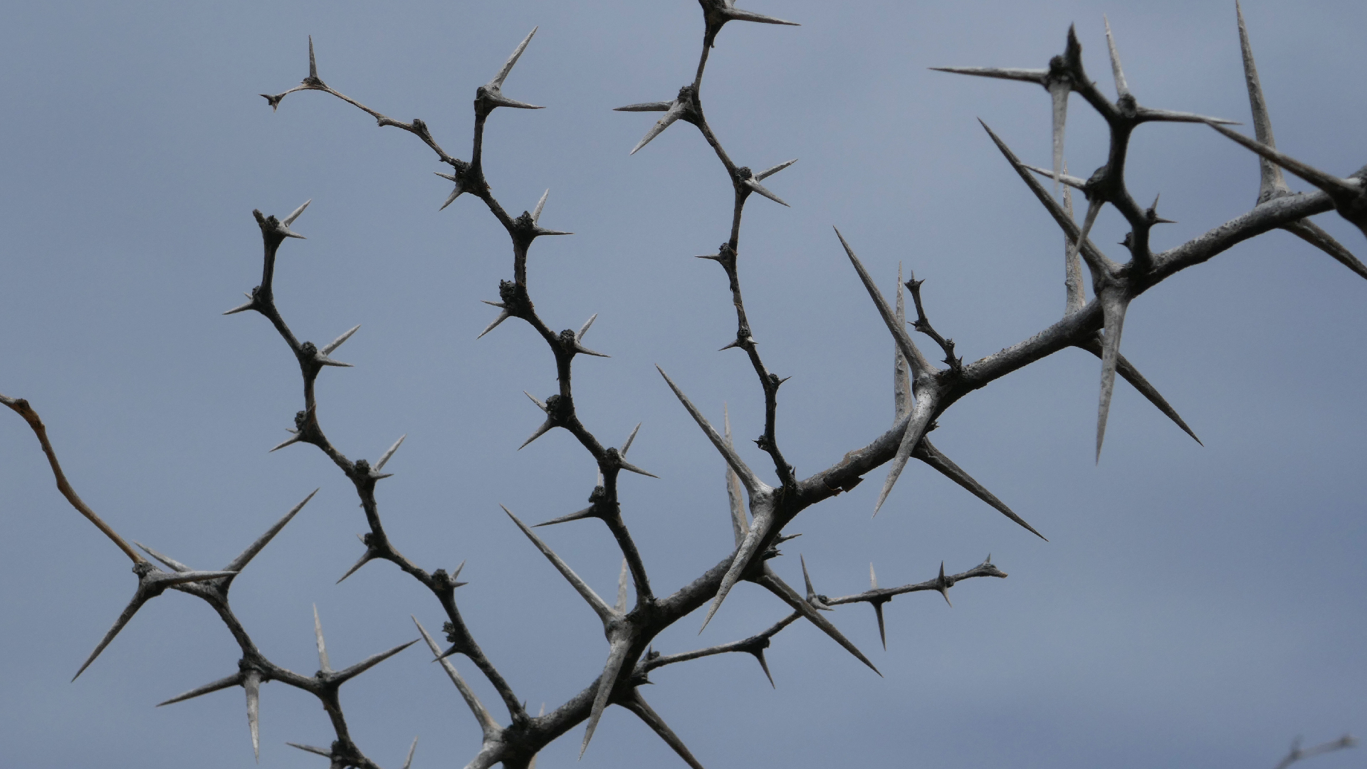 2022-04-23 Shete Boka Nationalpark (Foto, Video)