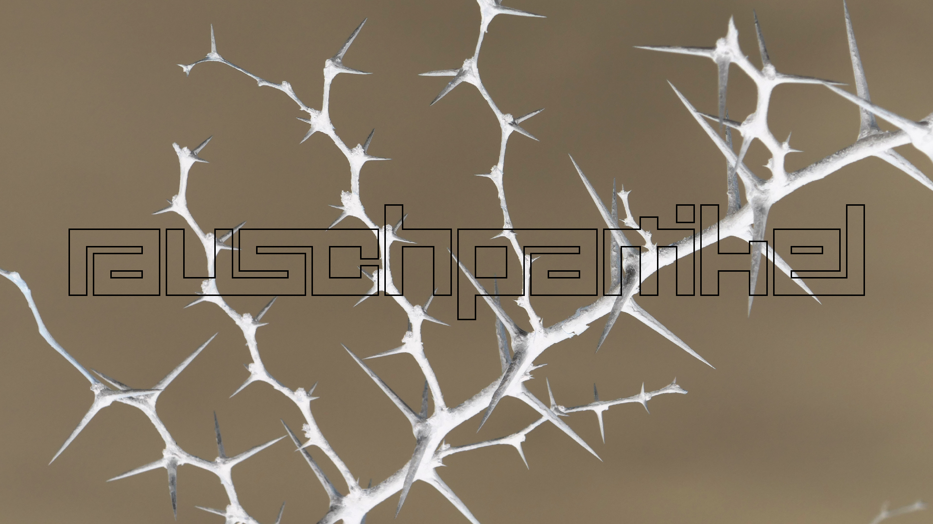 2022-04-23 Shete Boka Nationalpark (Foto, Video)