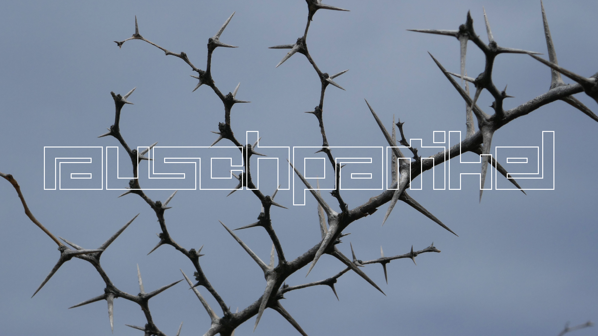 2022-04-23 Shete Boka Nationalpark (Foto, Video)