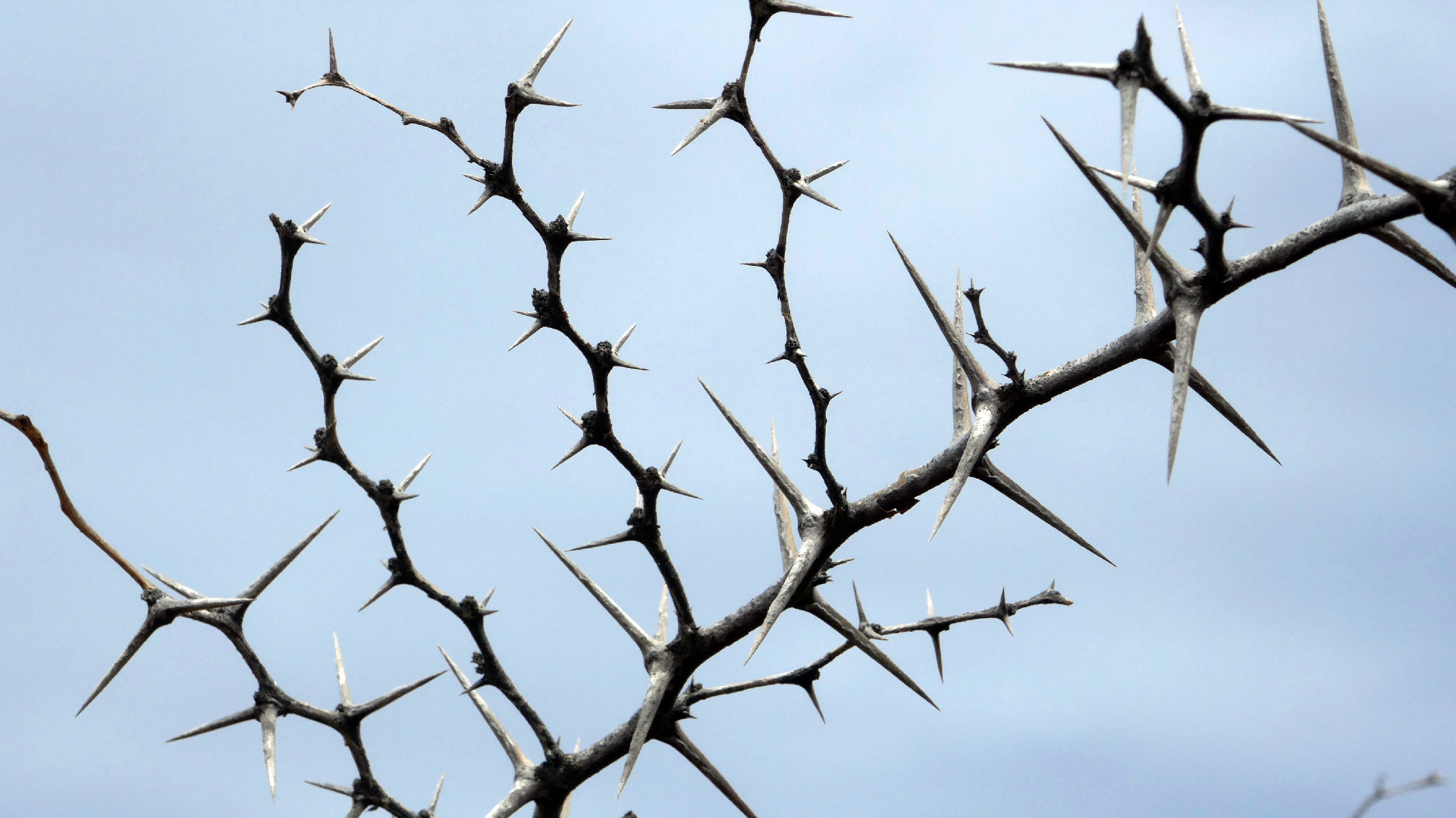 2022-04-23 Shete Boka Nationalpark (Foto, Video)