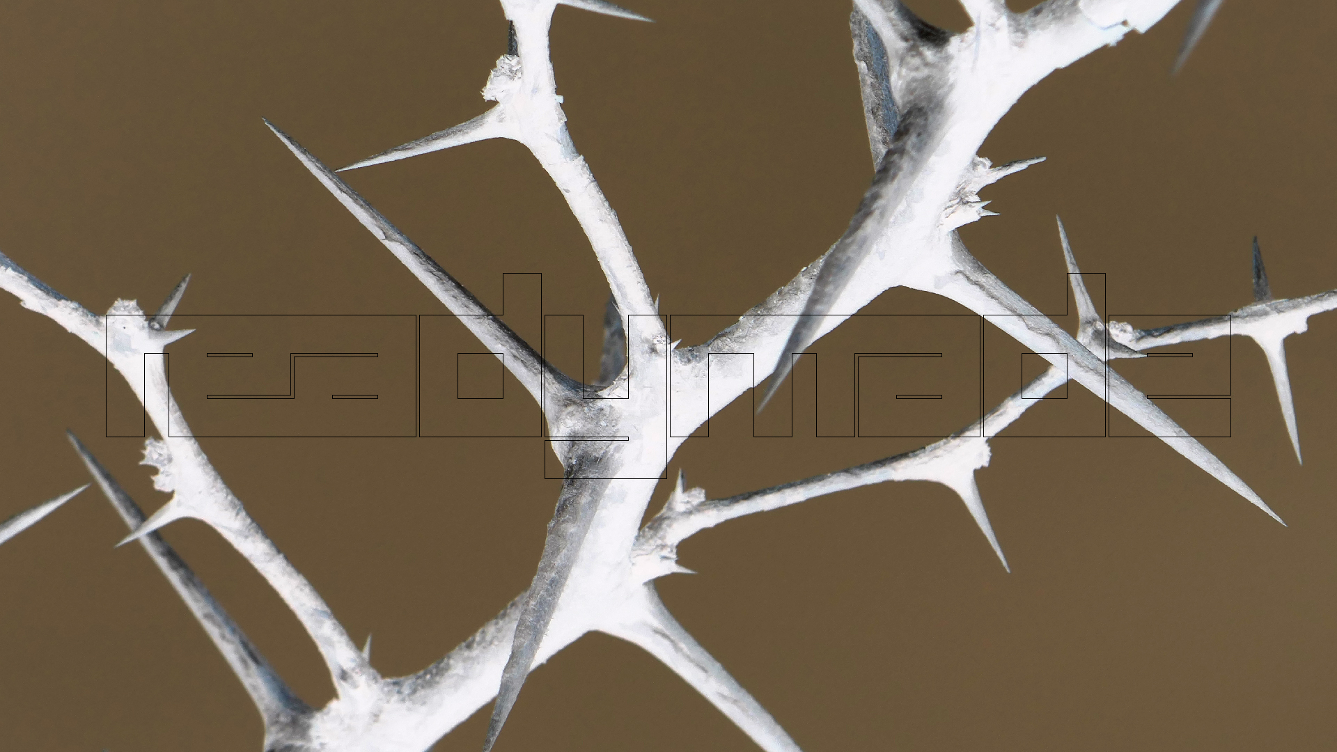 2022-04-23 Shete Boka Nationalpark (Foto, Video)