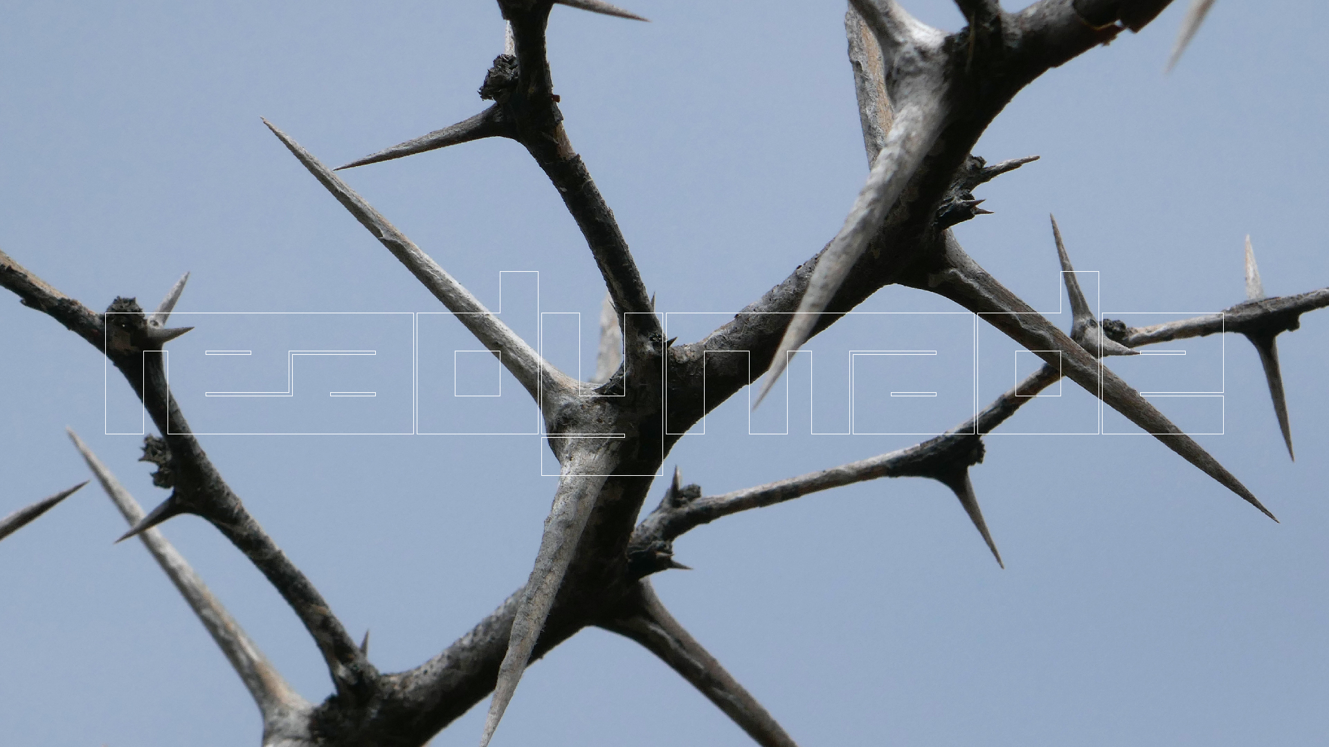 2022-04-23 Shete Boka Nationalpark (Foto, Video)