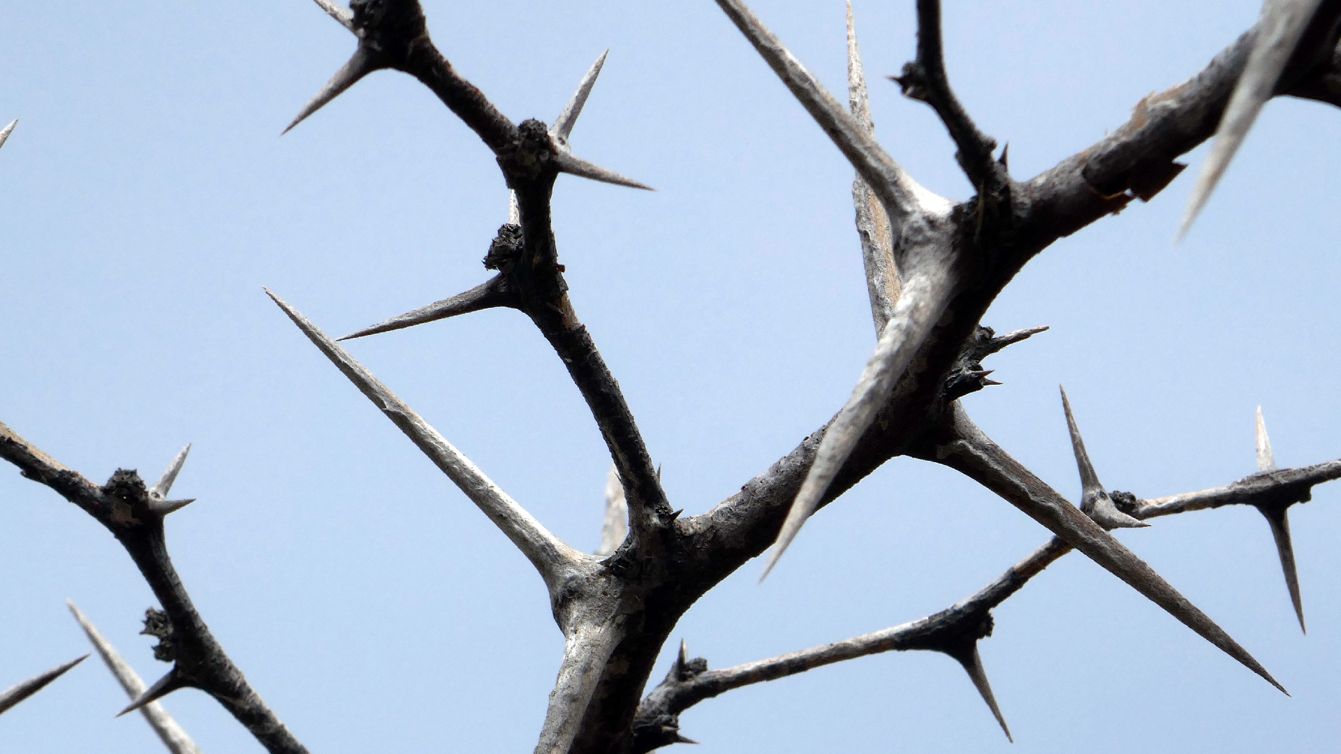 2022-04-23 Shete Boka Nationalpark (Foto, Video)