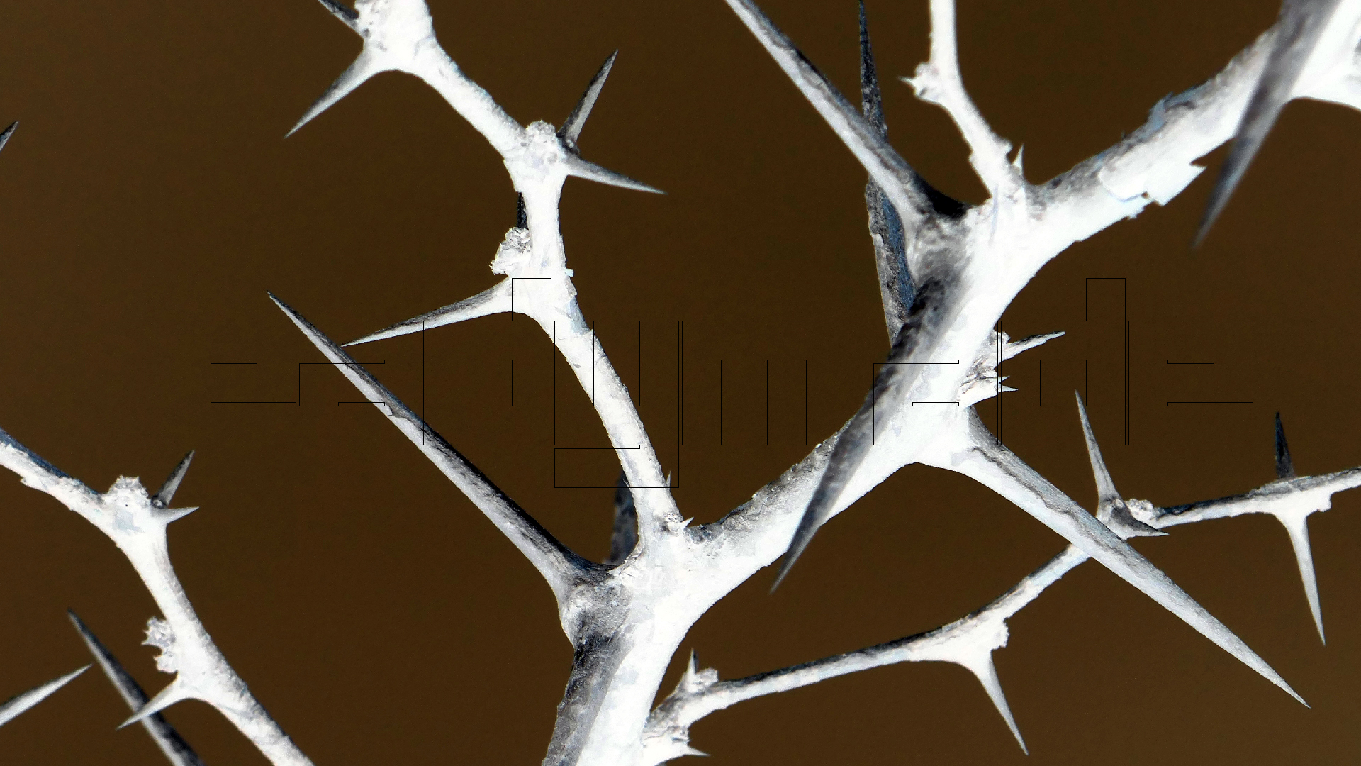 2022-04-23 Shete Boka Nationalpark (Foto, Video)