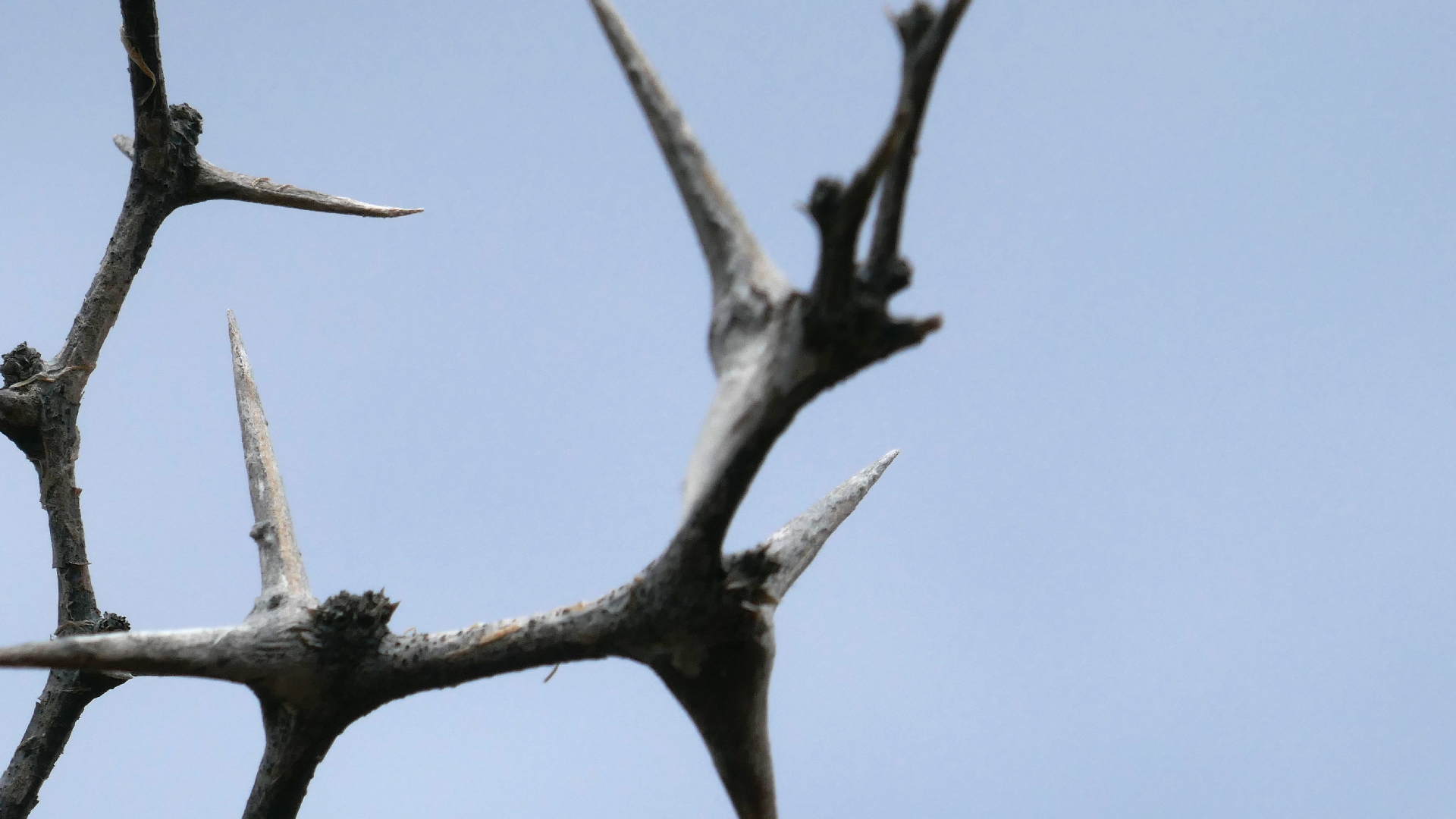 2022-04-23 Shete Boka Nationalpark (Foto, Video)