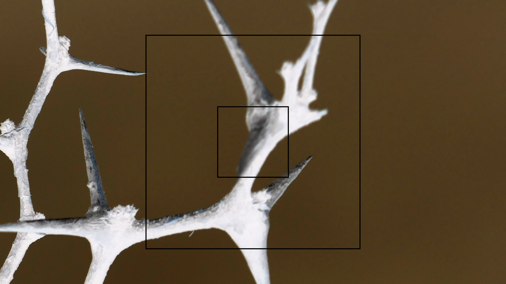 2022-04-23 Shete Boka Nationalpark (Foto, Video)