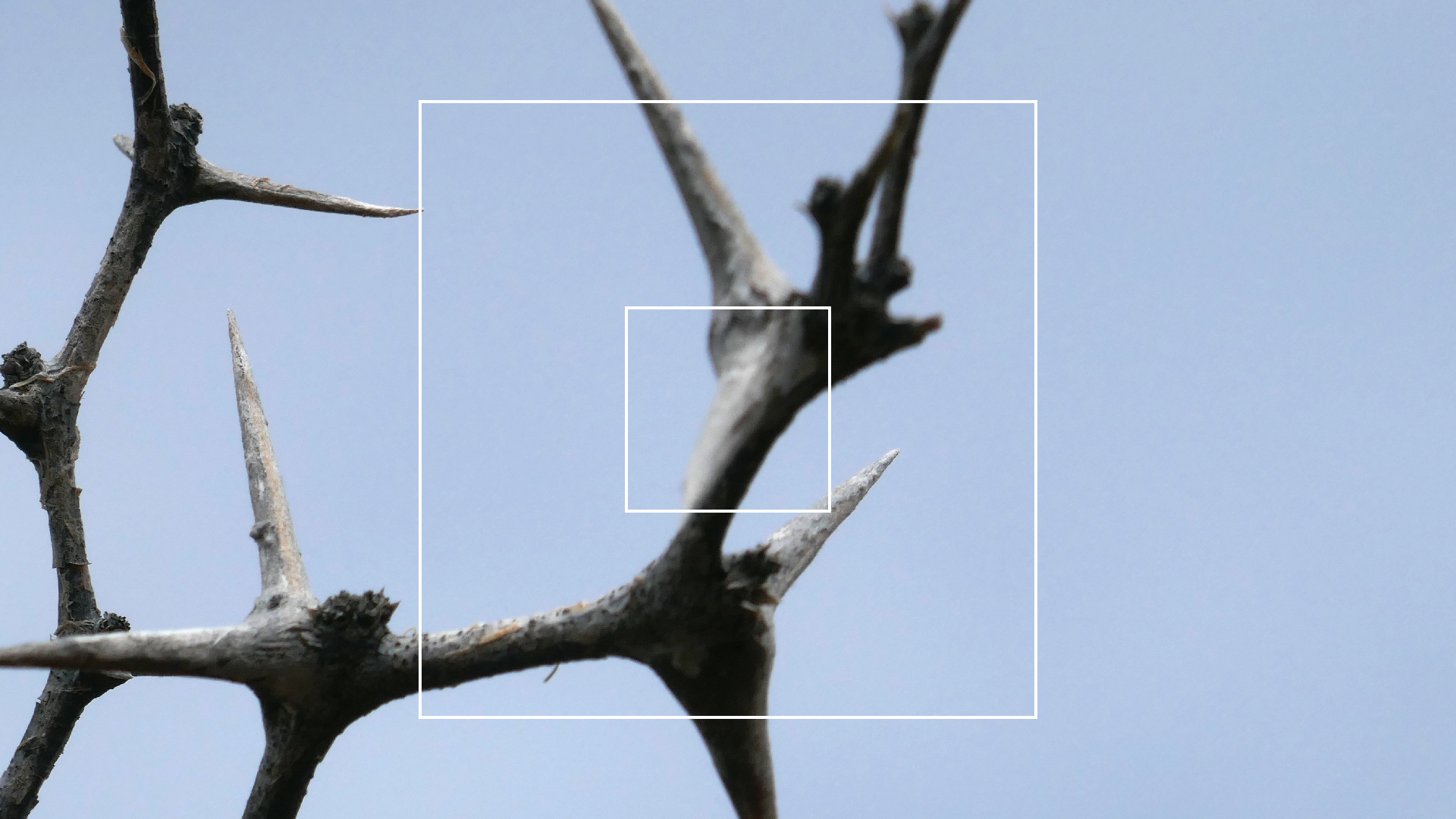 2022-04-23 Shete Boka Nationalpark (Foto, Video)