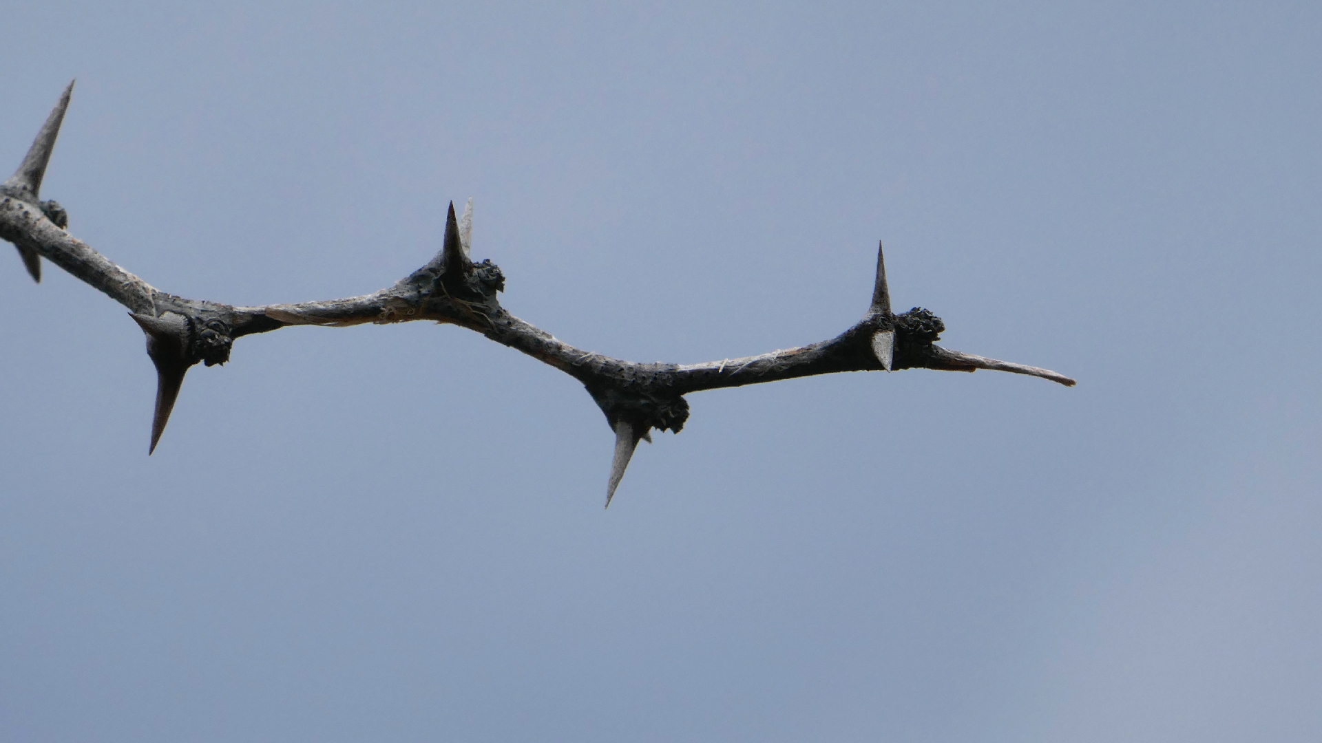 2022-04-23 Shete Boka Nationalpark (Foto, Video)