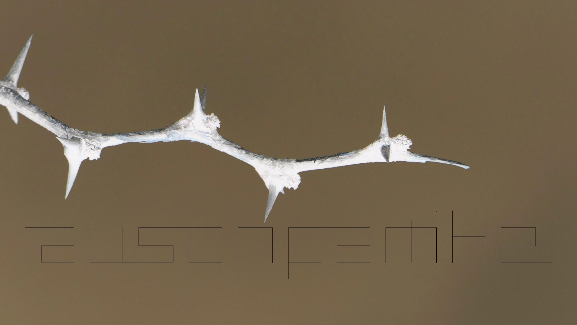 2022-04-23 Shete Boka Nationalpark (Foto, Video)