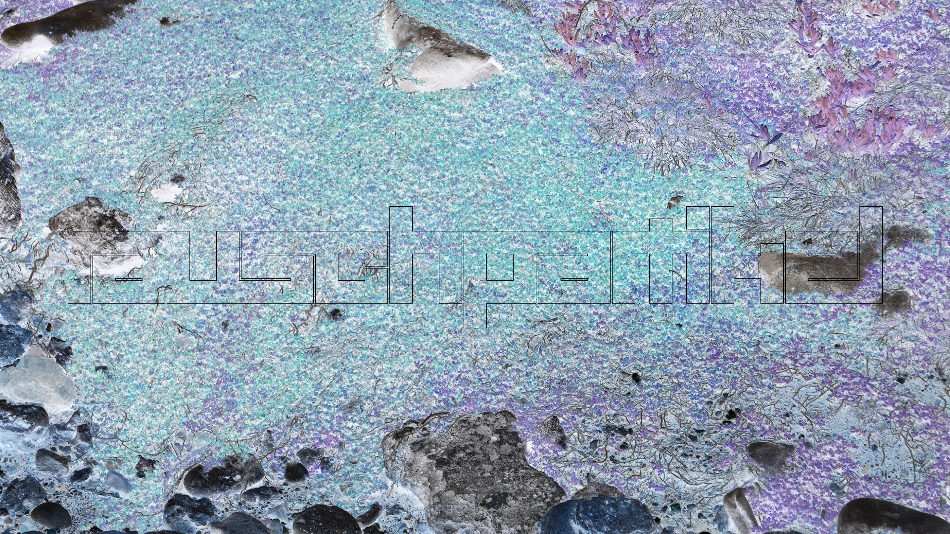 2022-04-23 Shete Boka Nationalpark (Foto, Video)