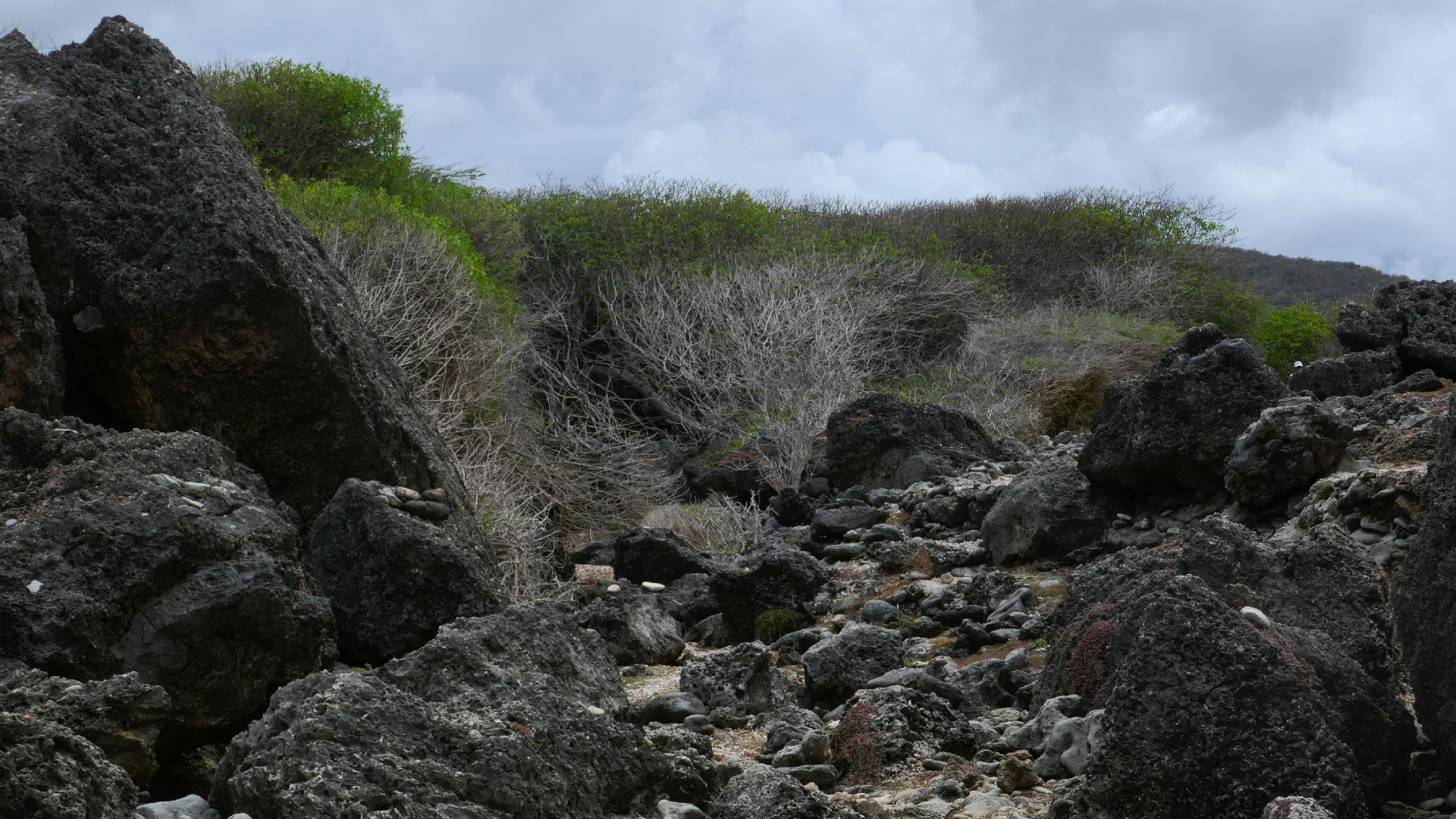 2022-04-23 Shete Boka Nationalpark (Foto, Video)