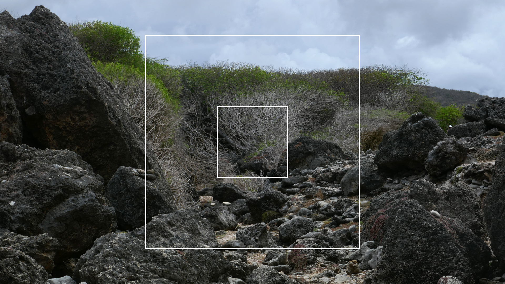 2022-04-23 Shete Boka Nationalpark (Foto, Video)