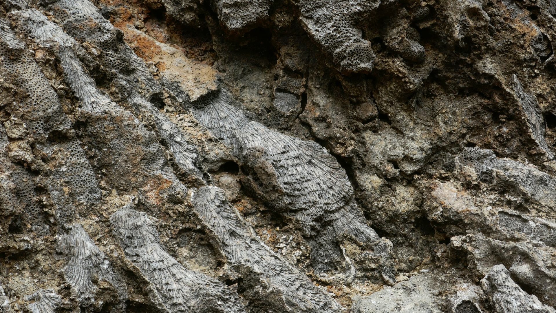 2022-04-23 Shete Boka Nationalpark (Foto, Video)