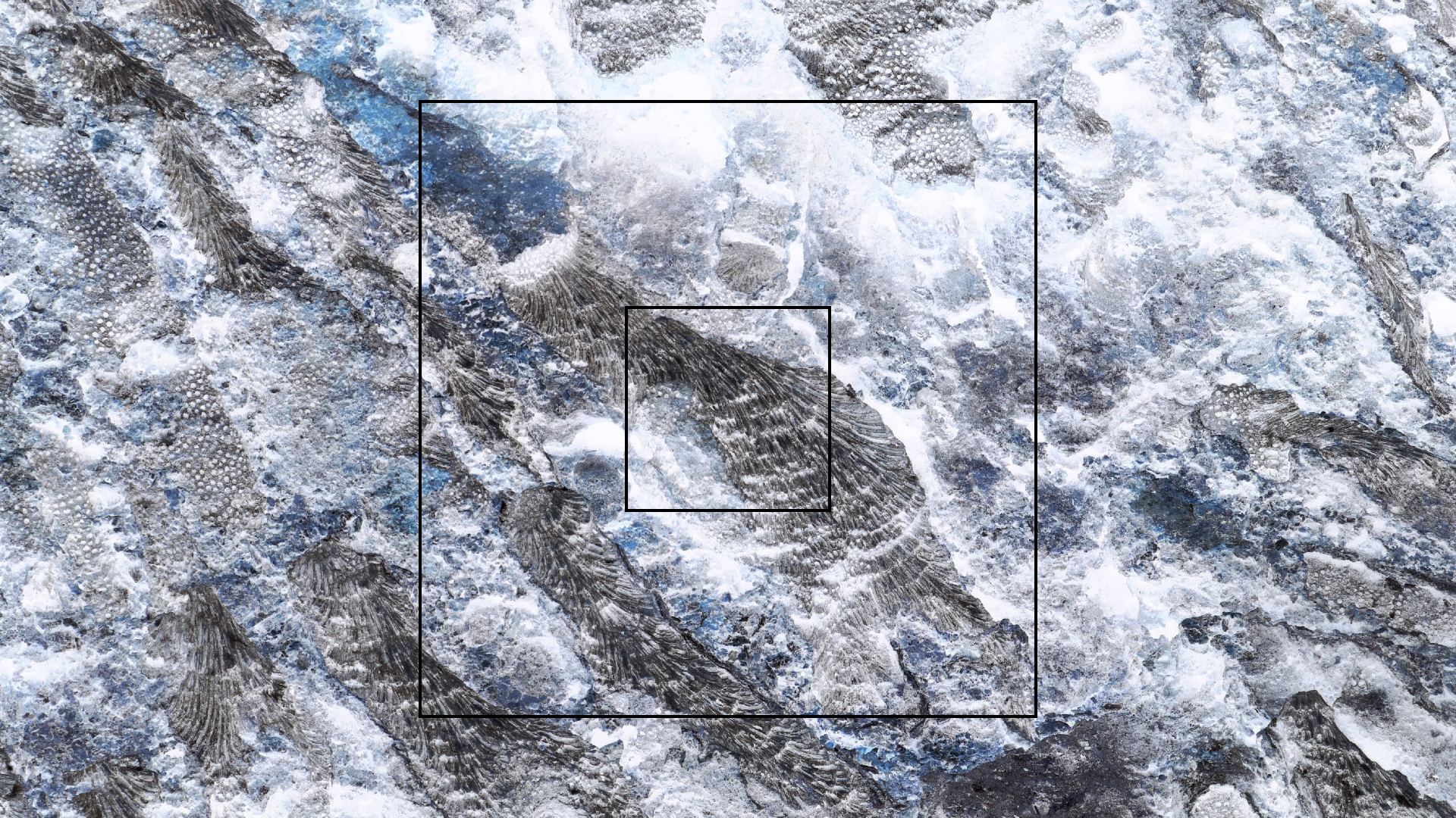 2022-04-23 Shete Boka Nationalpark (Foto, Video)