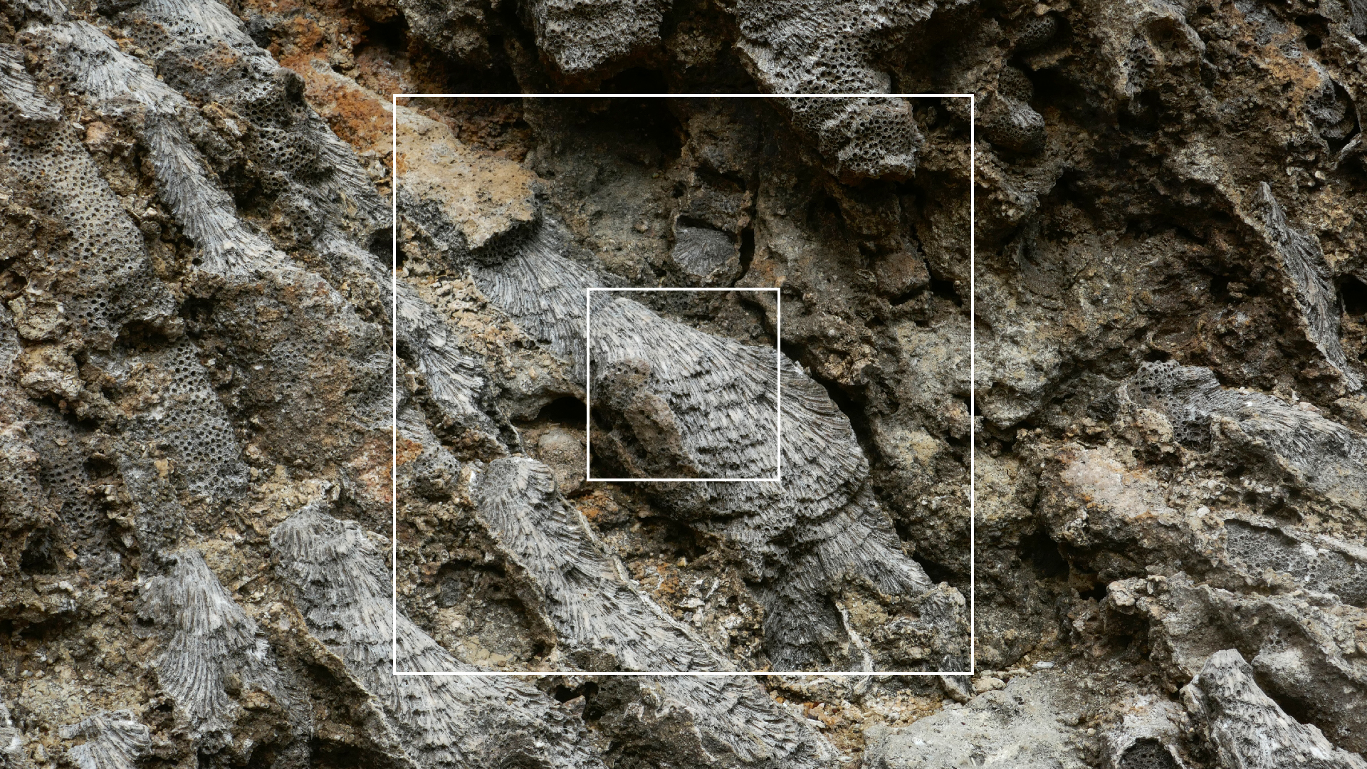 2022-04-23 Shete Boka Nationalpark (Foto, Video)