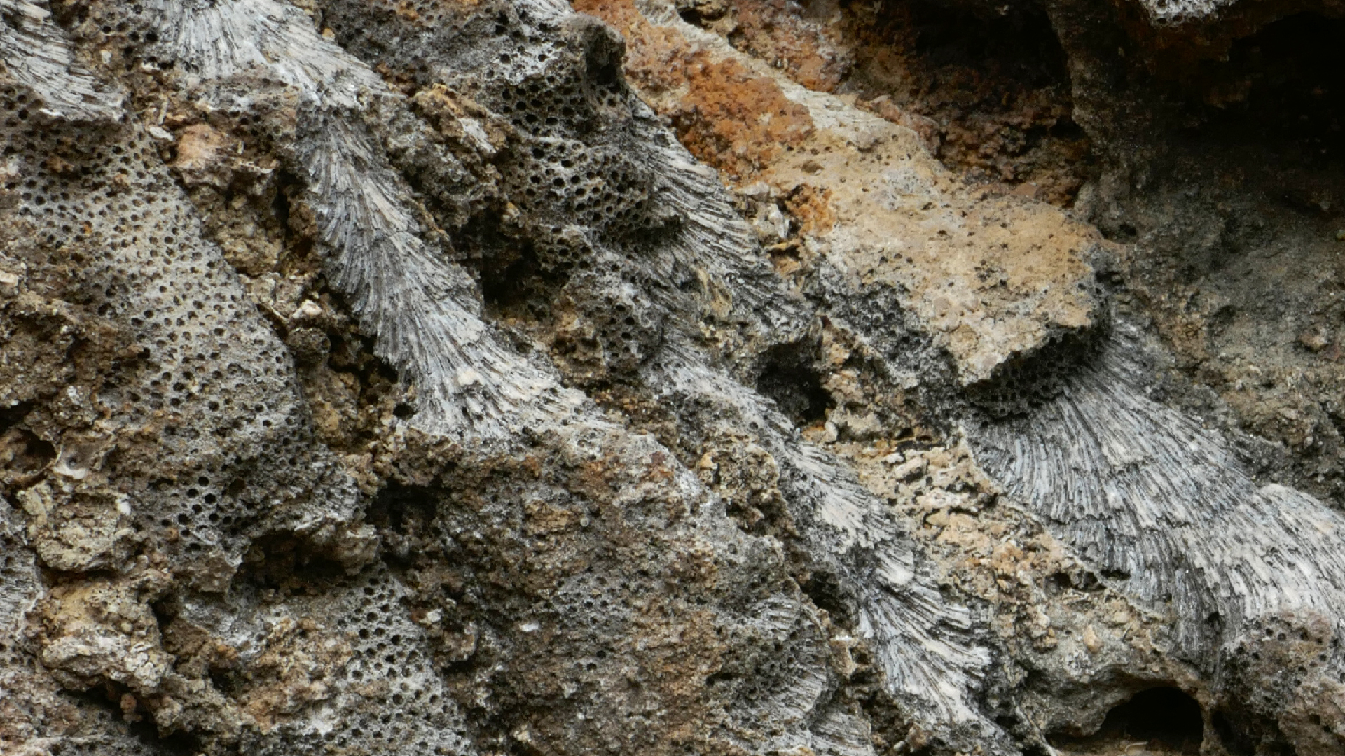 2022-04-23 Shete Boka Nationalpark (Foto, Video)