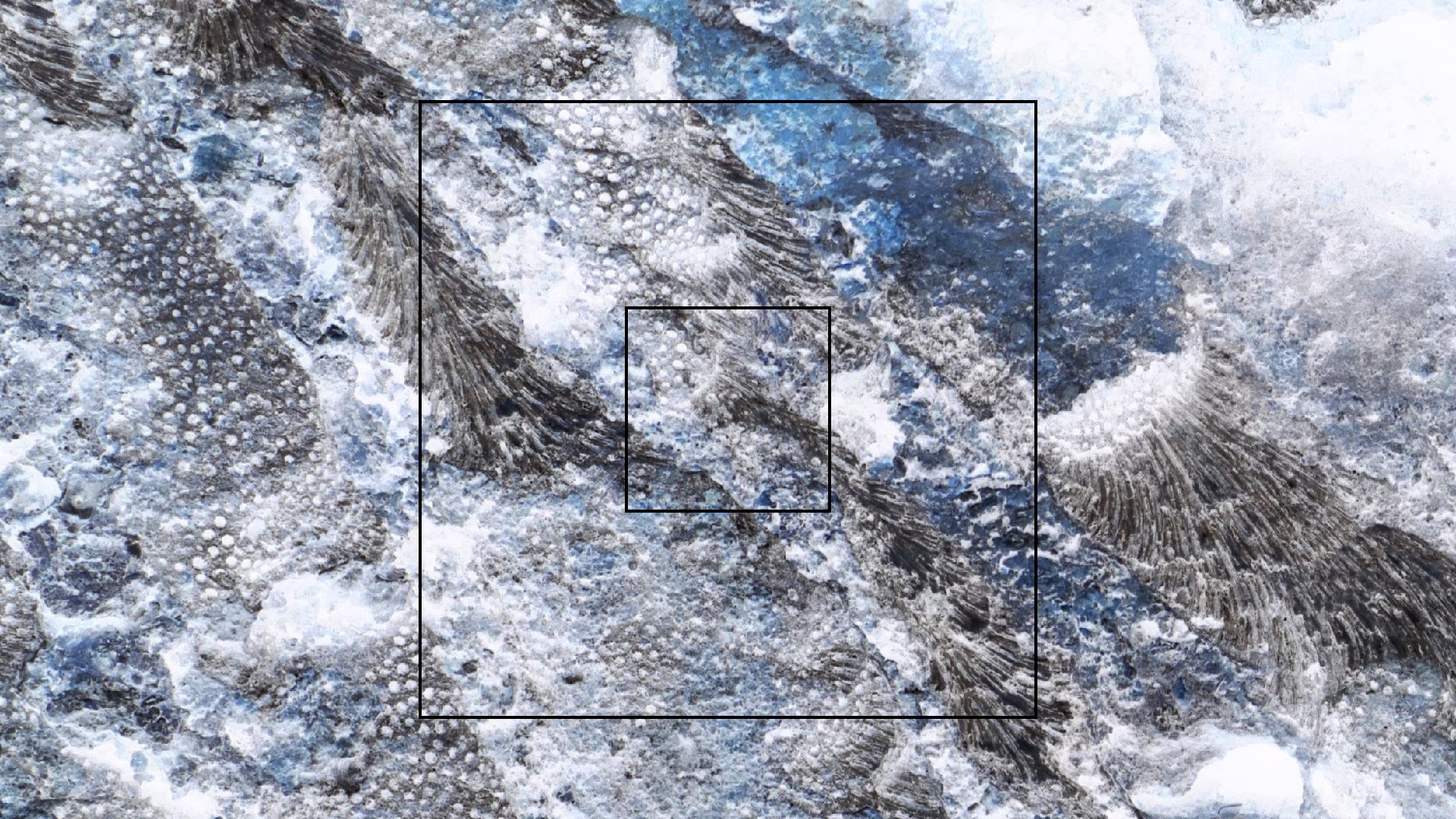 2022-04-23 Shete Boka Nationalpark (Foto, Video)