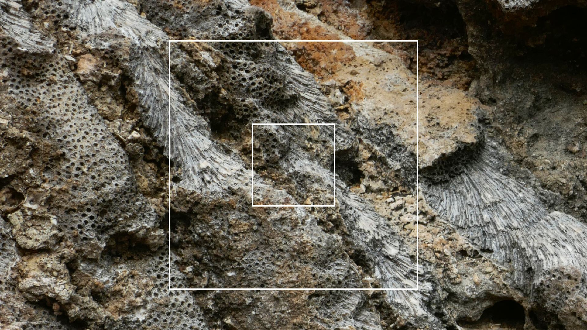 2022-04-23 Shete Boka Nationalpark (Foto, Video)