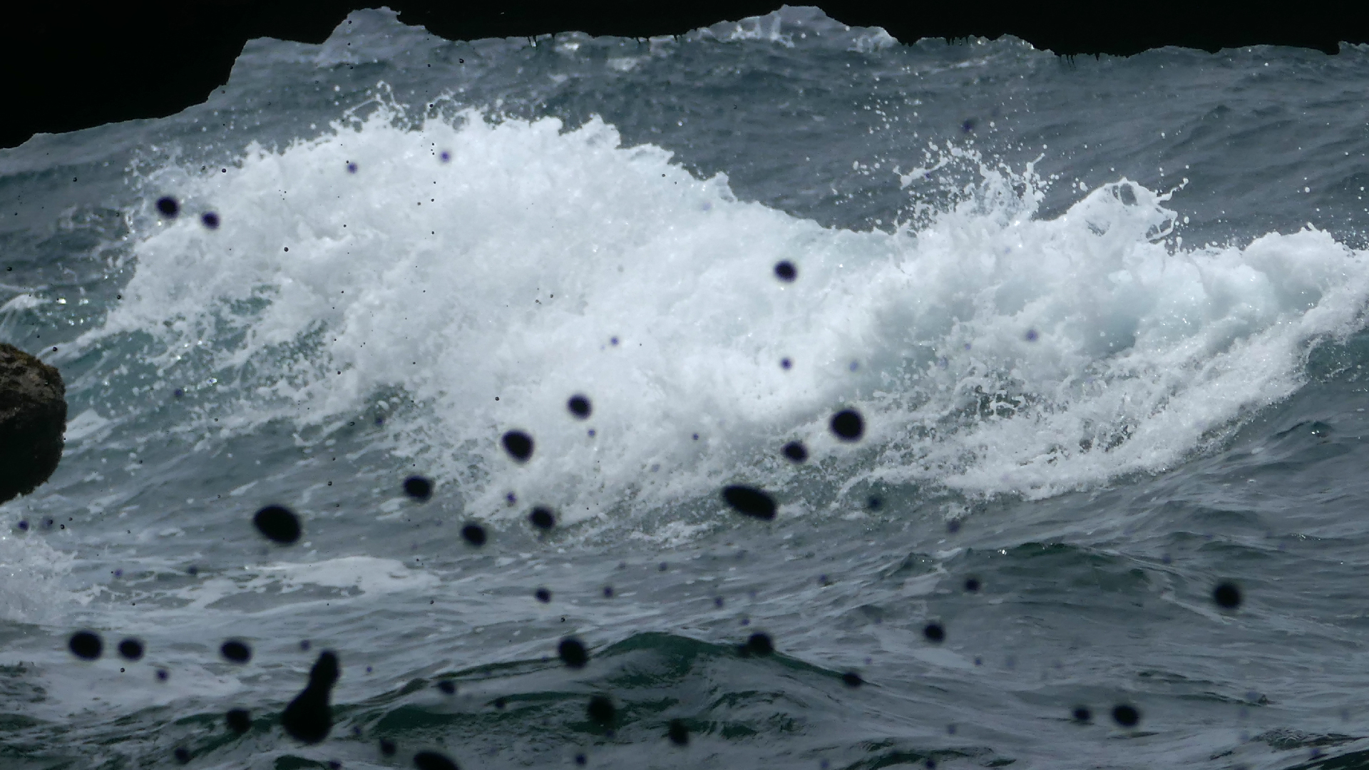 2022-04-23 Shete Boka Nationalpark (Foto, Video)