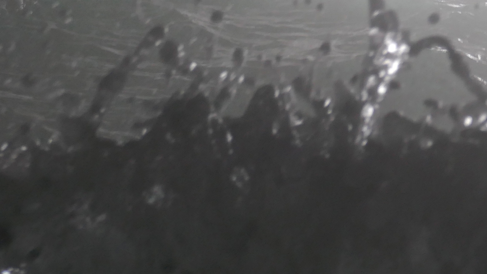 2022-04-23 Shete Boka Nationalpark (Foto, Video)