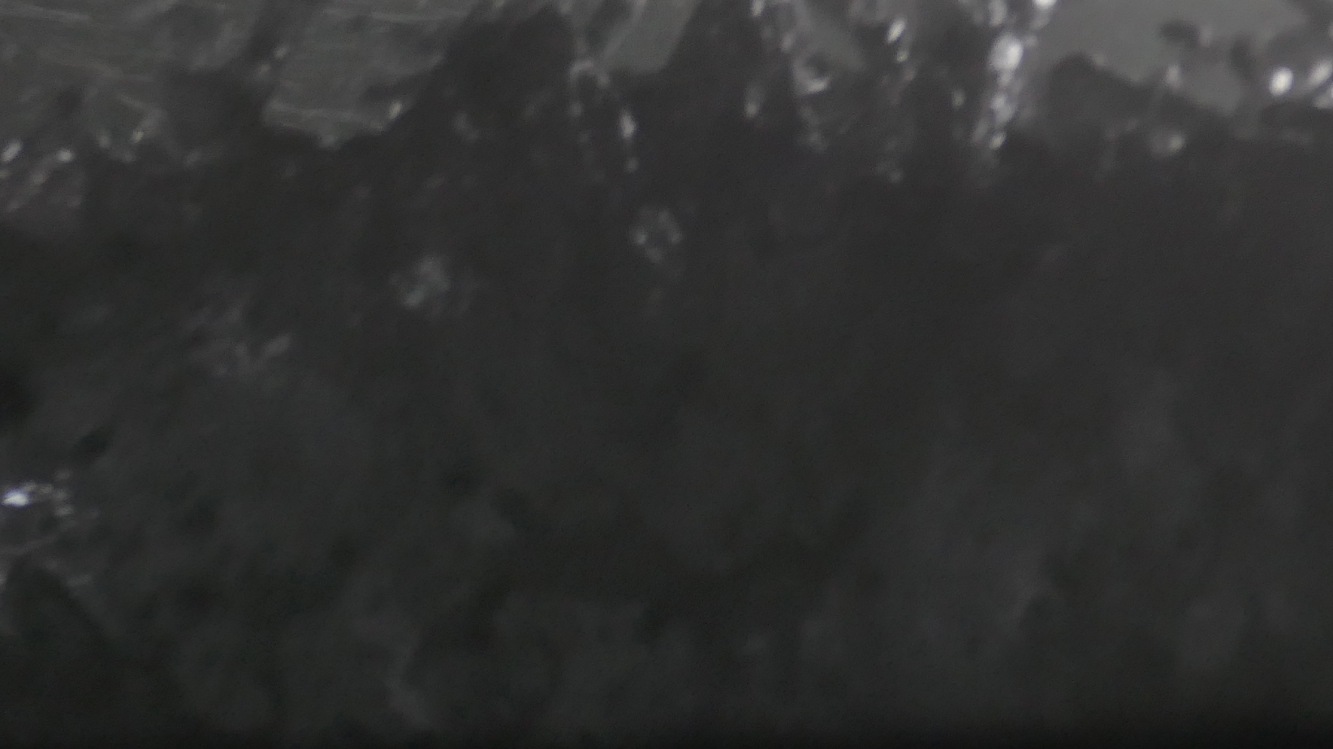 2022-04-23 Shete Boka Nationalpark (Foto, Video)