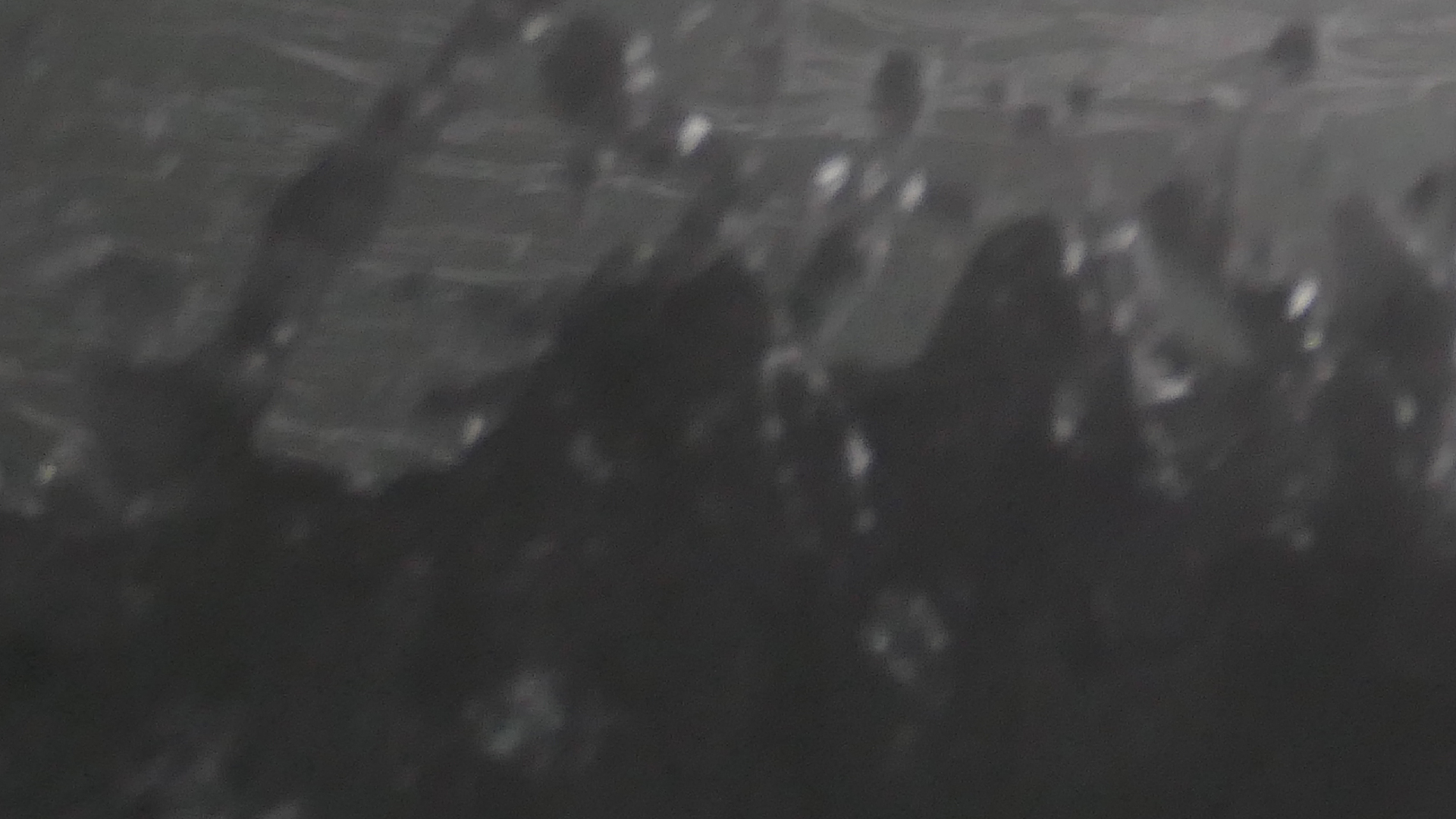 2022-04-23 Shete Boka Nationalpark (Foto, Video)