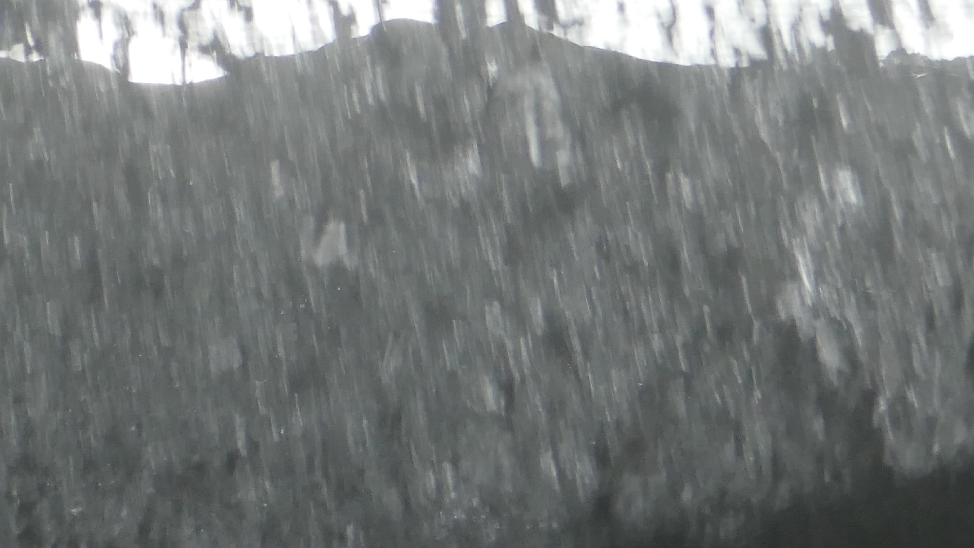 2022-04-23 Shete Boka Nationalpark (Foto, Video)