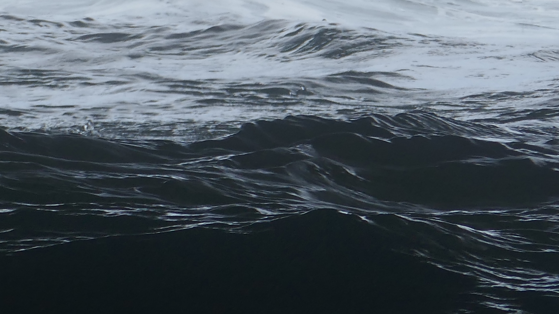 2022-04-23 Shete Boka Nationalpark (Foto, Video)