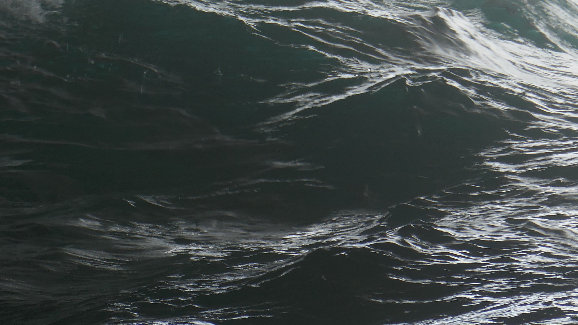 2022-04-23 Shete Boka Nationalpark (Foto, Video)