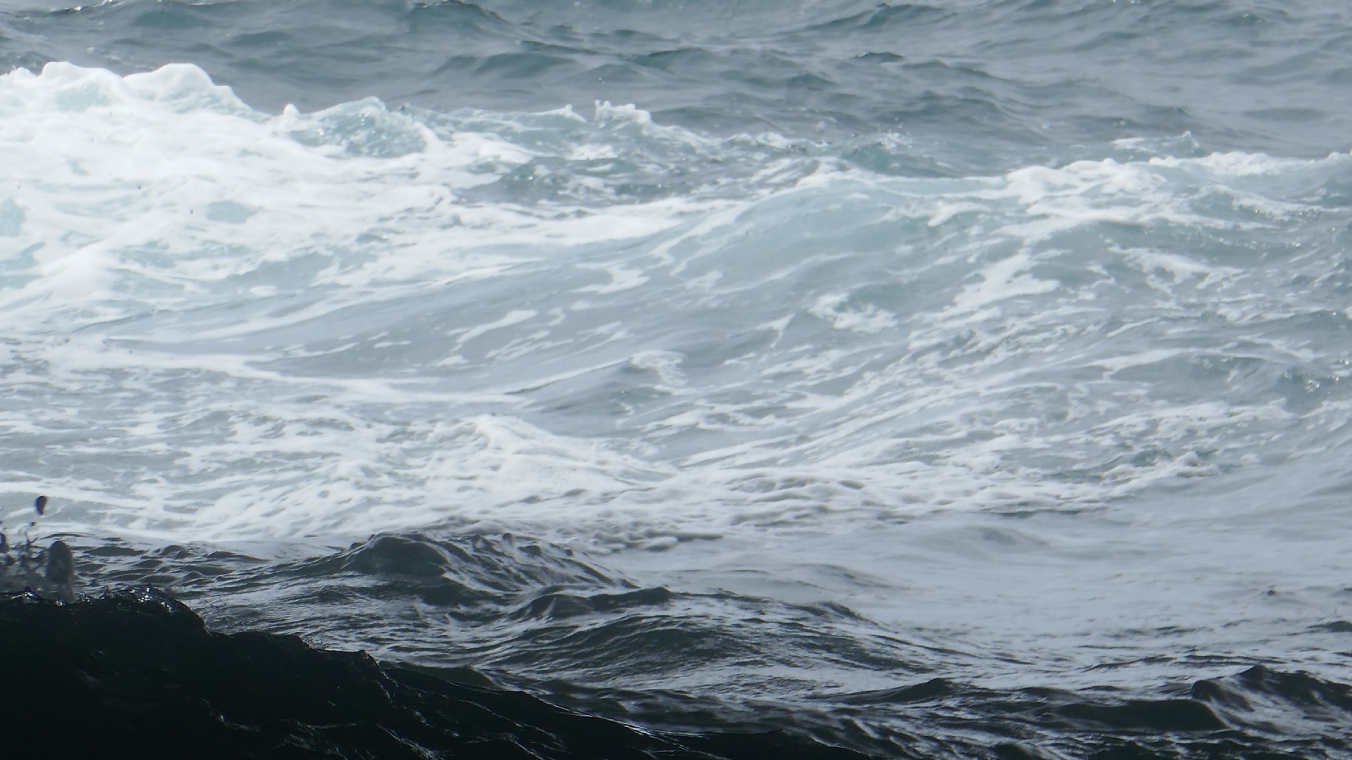 2022-04-23 Shete Boka Nationalpark (Foto, Video)