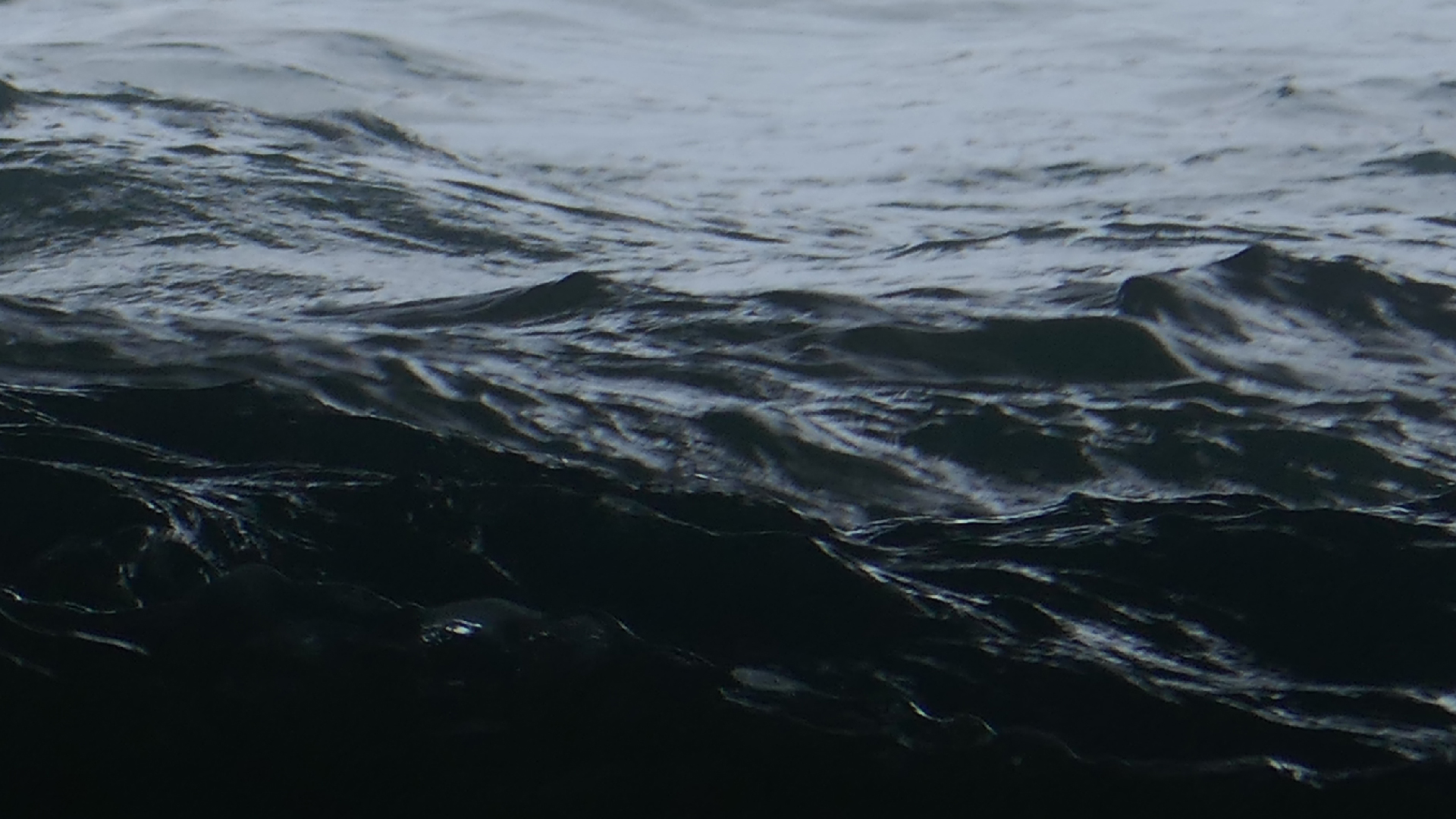 2022-04-23 Shete Boka Nationalpark (Foto, Video)