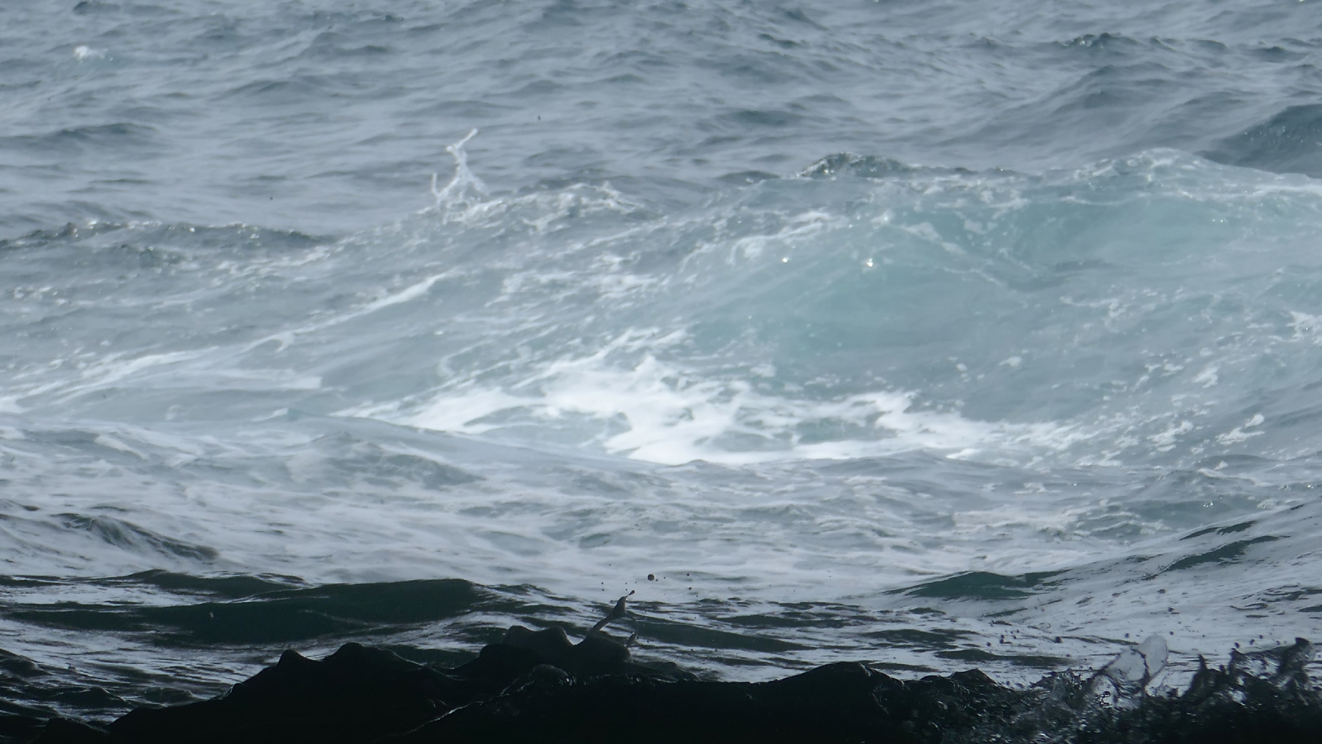 2022-04-23 Shete Boka Nationalpark (Foto, Video)