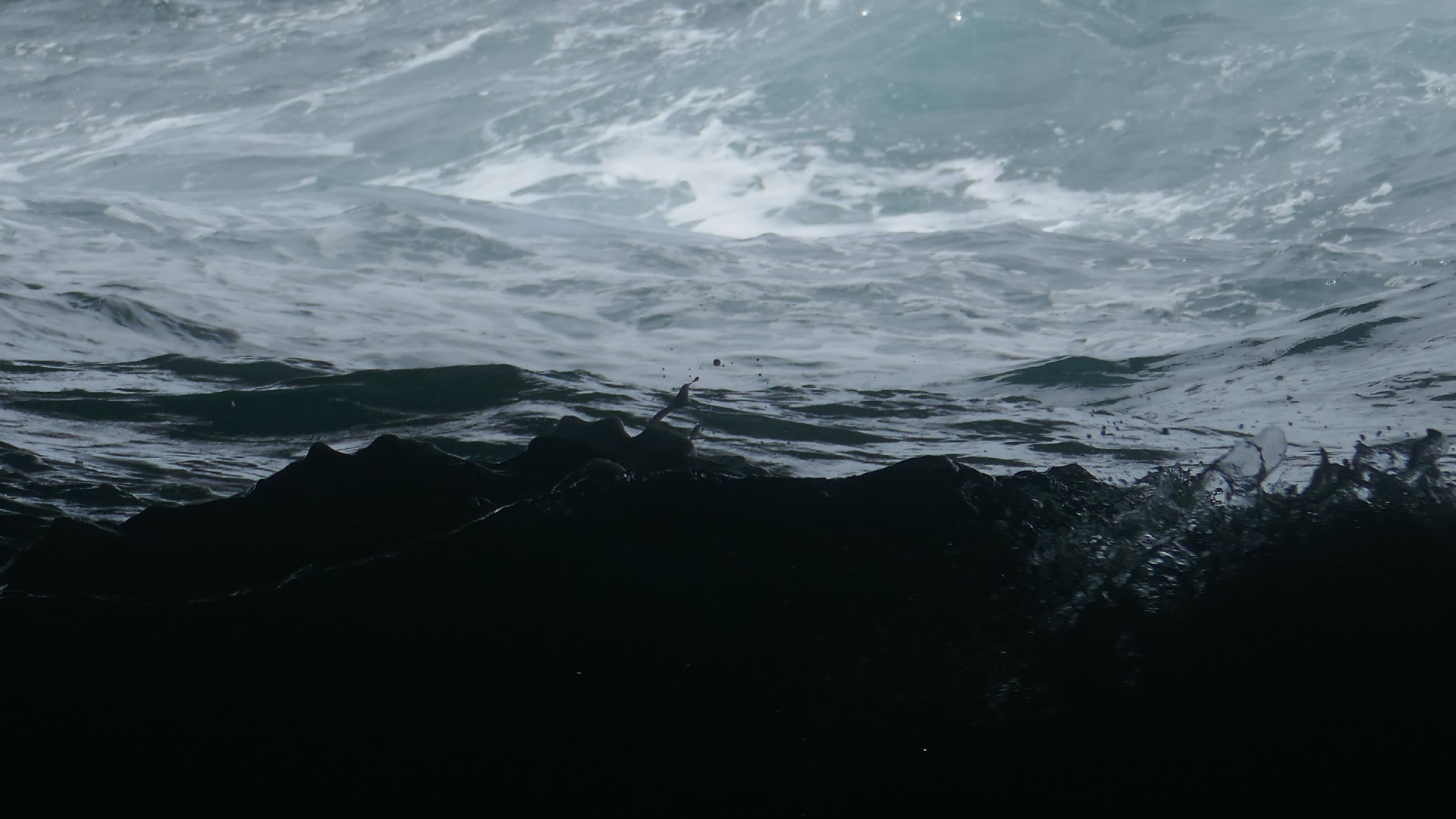 2022-04-23 Shete Boka Nationalpark (Foto, Video)