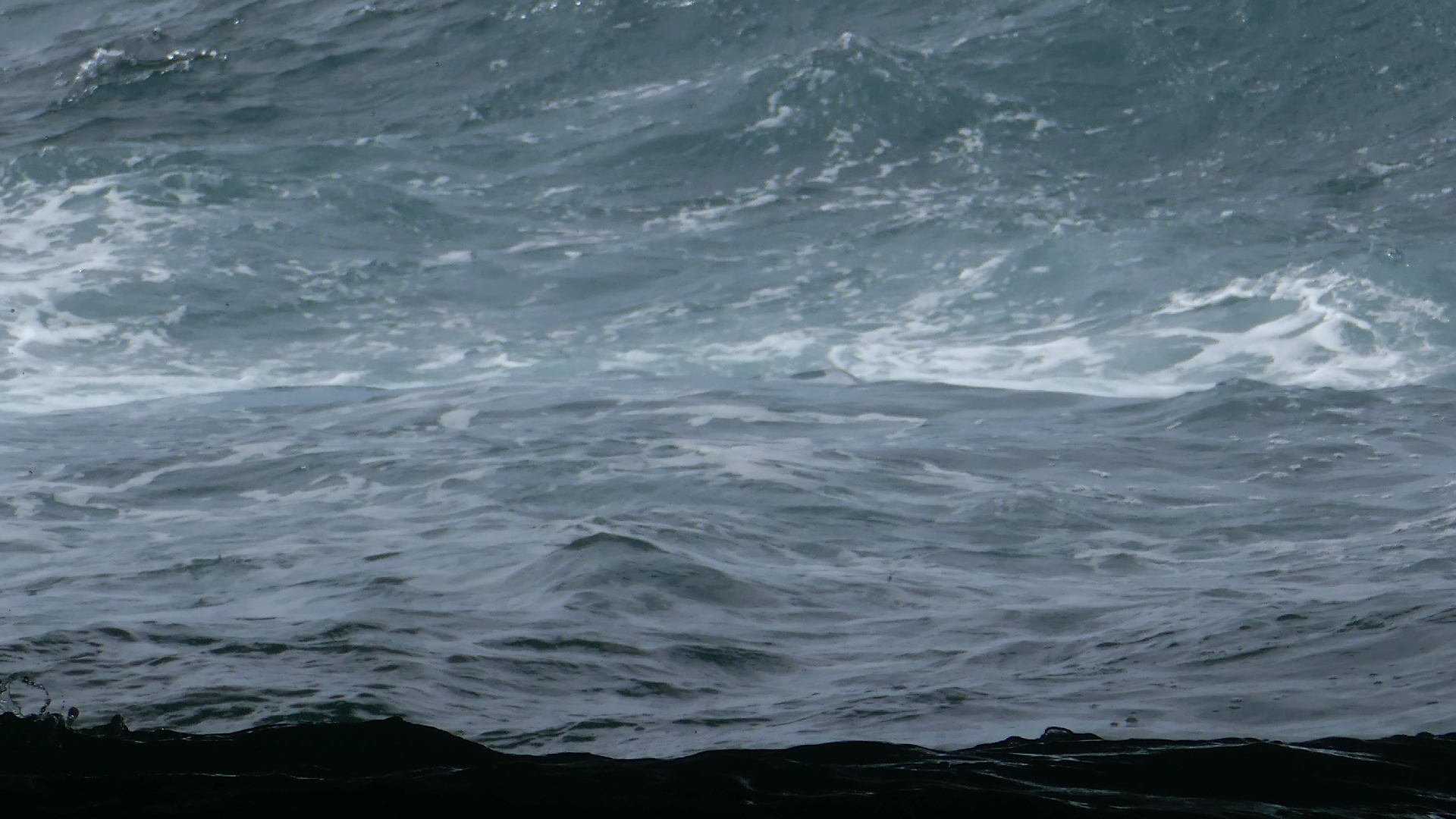 2022-04-23 Shete Boka Nationalpark (Foto, Video)