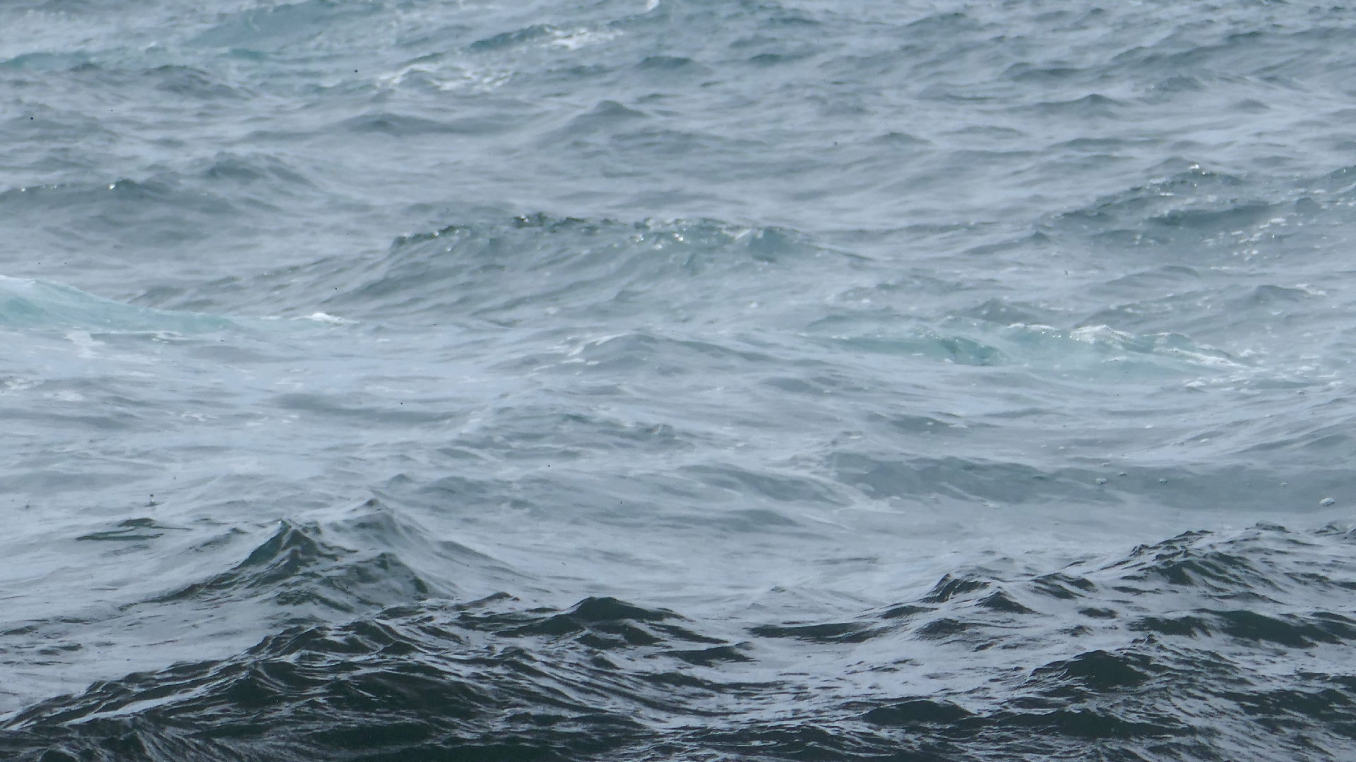 2022-04-23 Shete Boka Nationalpark (Foto, Video)