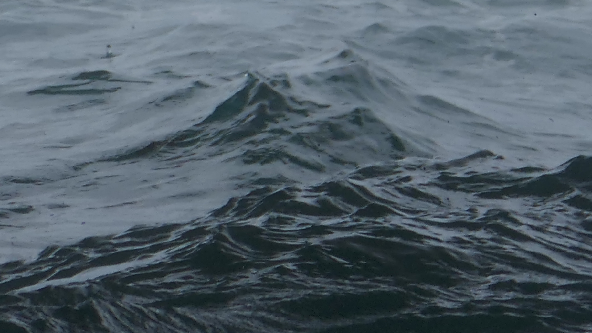 2022-04-23 Shete Boka Nationalpark (Foto, Video)