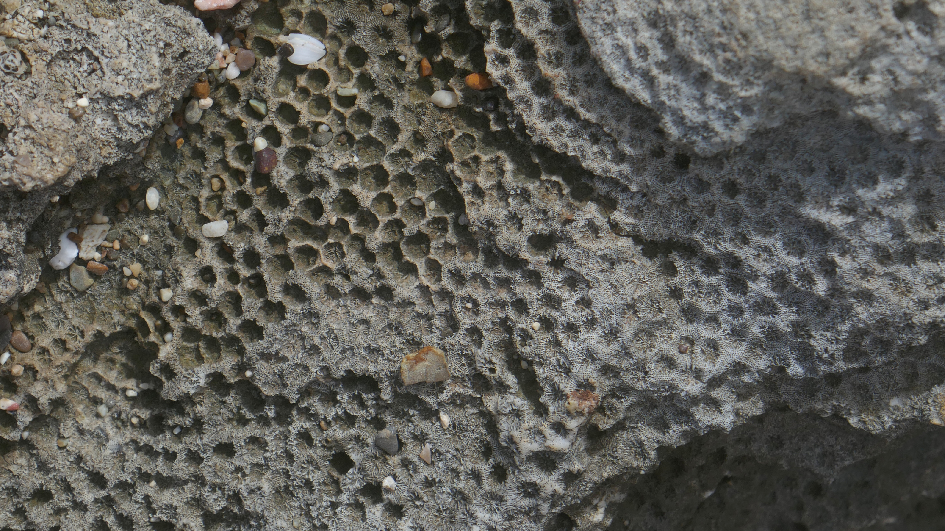 2022-04-23 Shete Boka Nationalpark (Foto, Video)