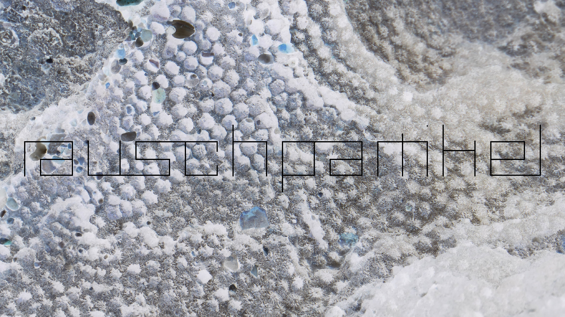 2022-04-23 Shete Boka Nationalpark (Foto, Video)