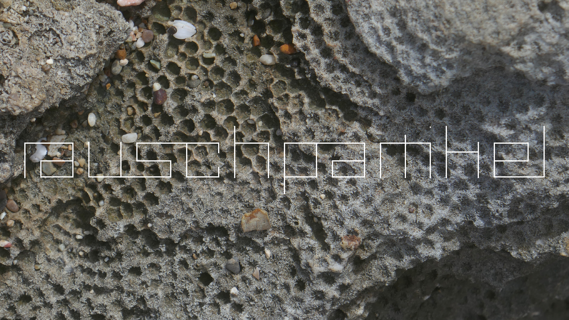 2022-04-23 Shete Boka Nationalpark (Foto, Video)