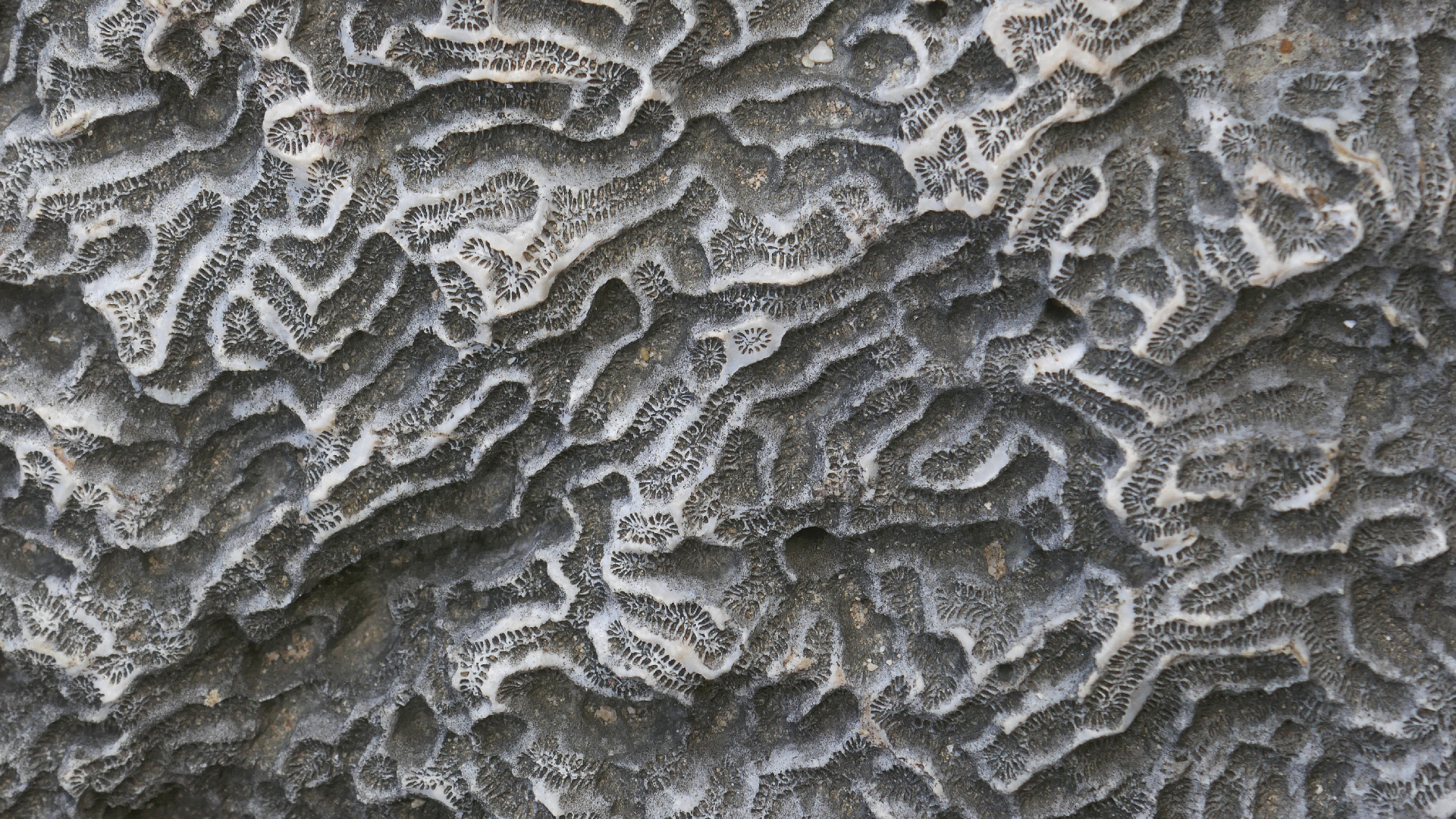 2022-04-23 Shete Boka Nationalpark (Foto, Video)