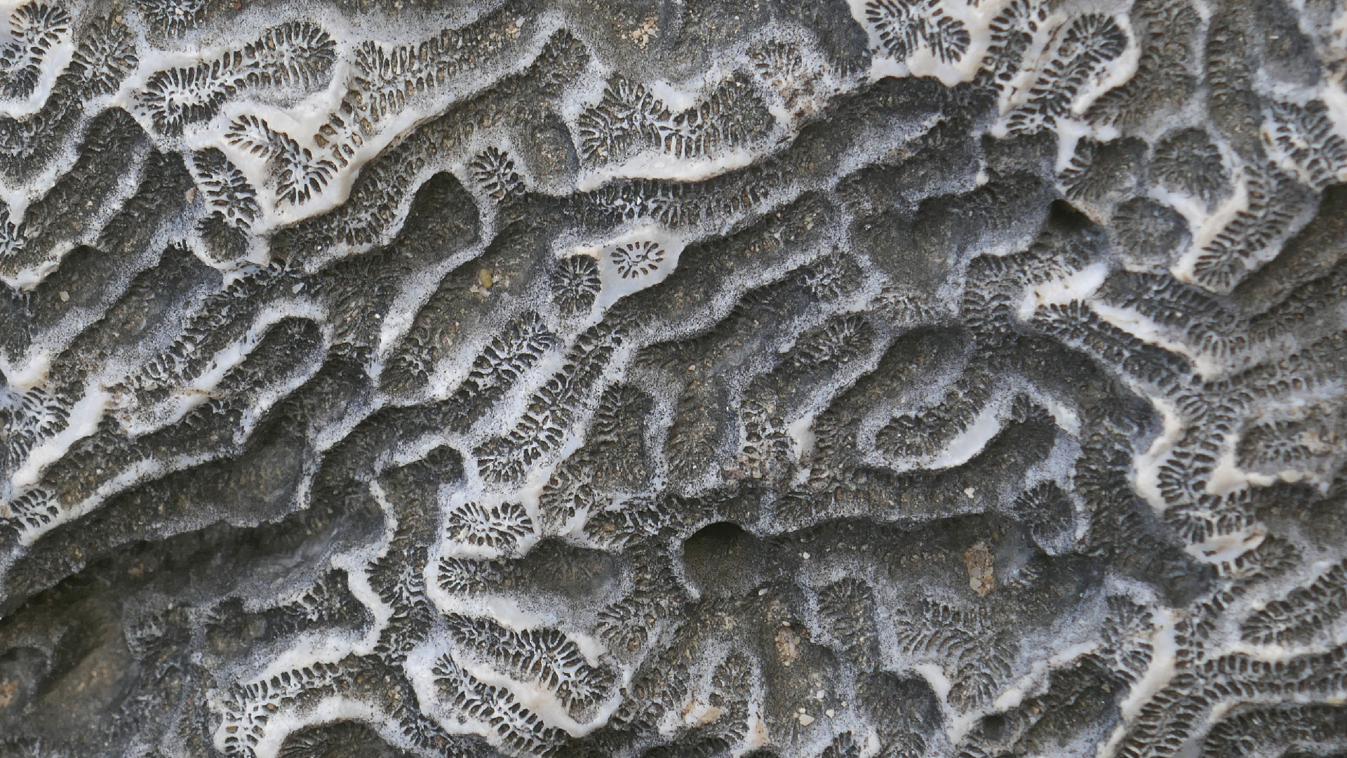 2022-04-23 Shete Boka Nationalpark (Foto, Video)