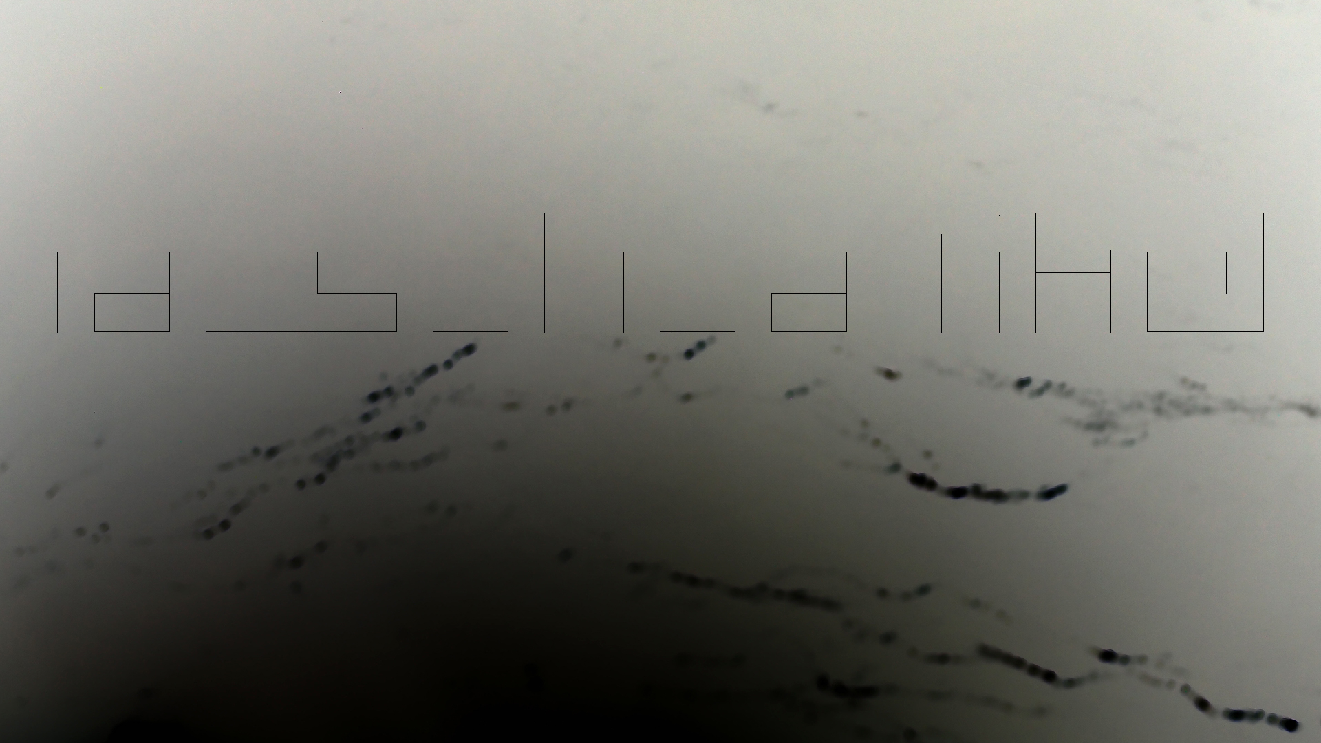 2022-04-24 Shete Boka Nationalpark (Foto, Video)