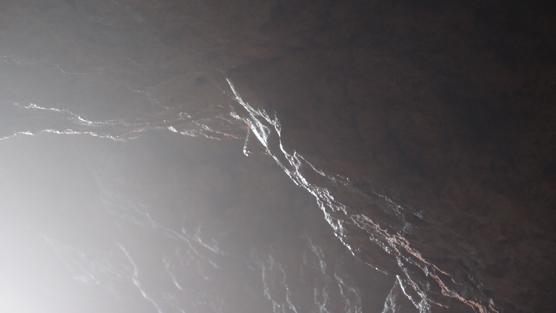 2022-04-24 Shete Boka Nationalpark (Foto, Video)