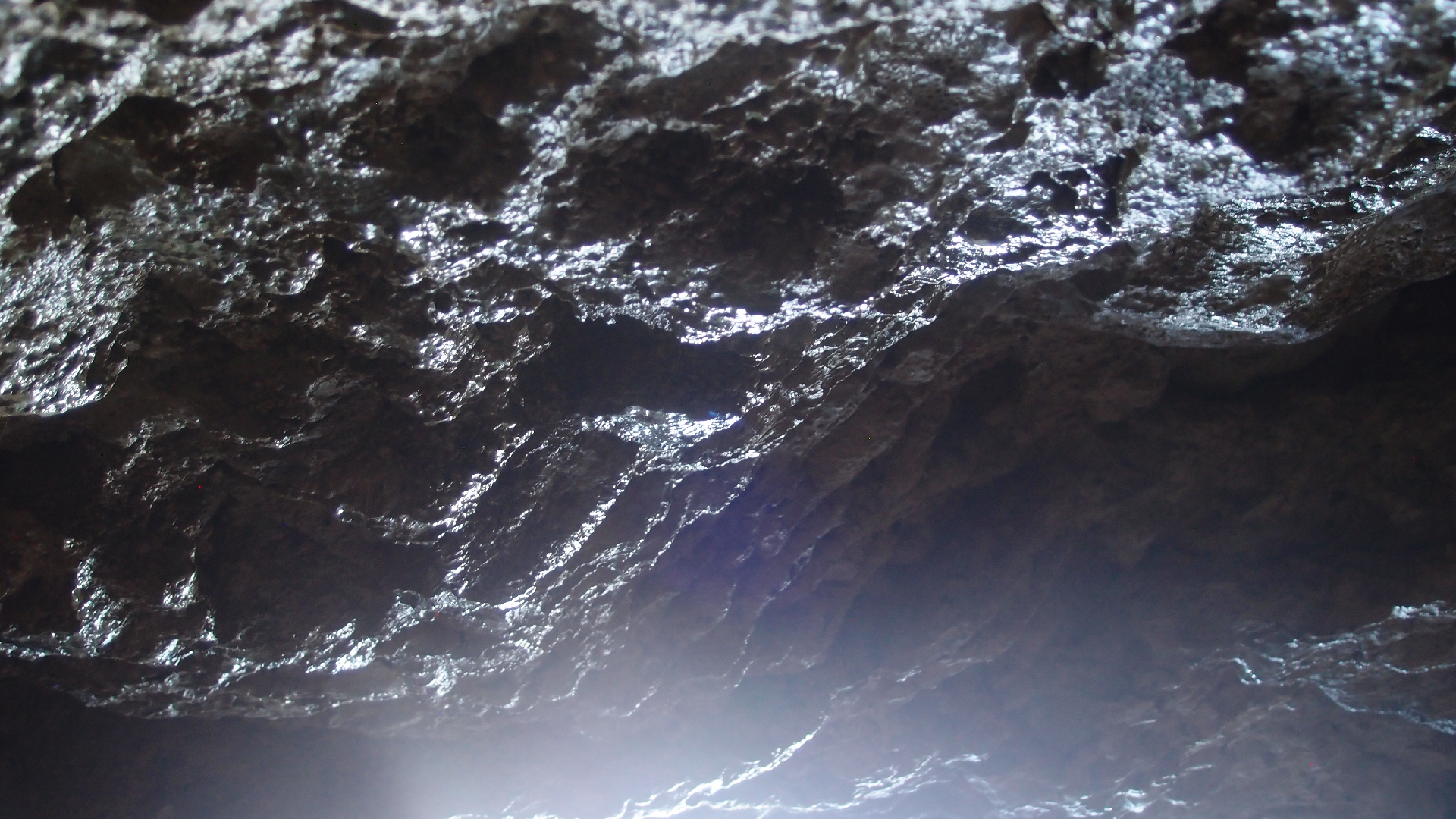 2022-04-24 Shete Boka Nationalpark (Foto, Video)