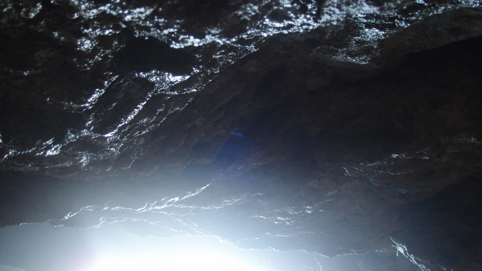 2022-04-24 Shete Boka Nationalpark (Foto, Video)