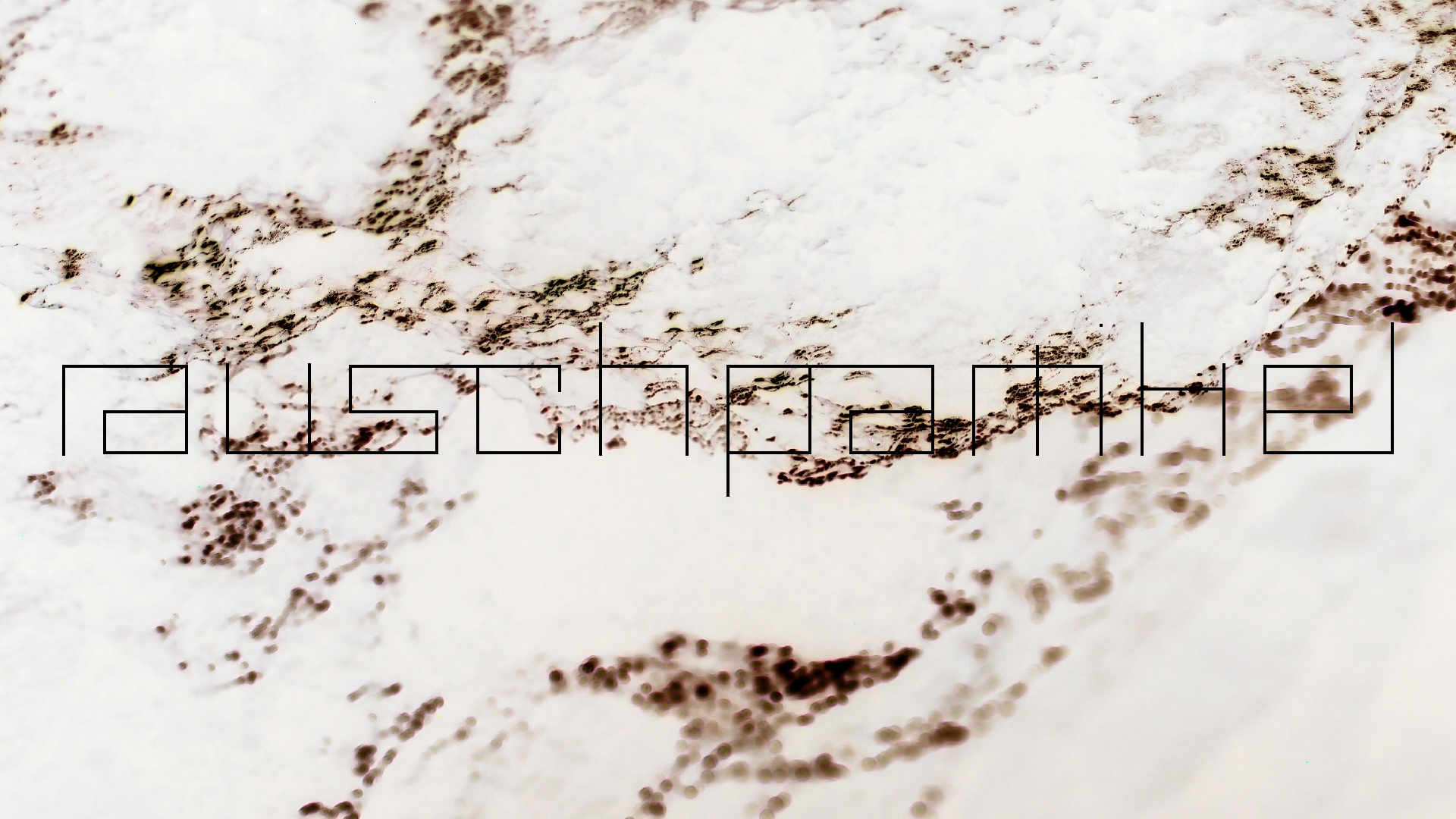 2022-04-24 Shete Boka Nationalpark (Foto, Video)