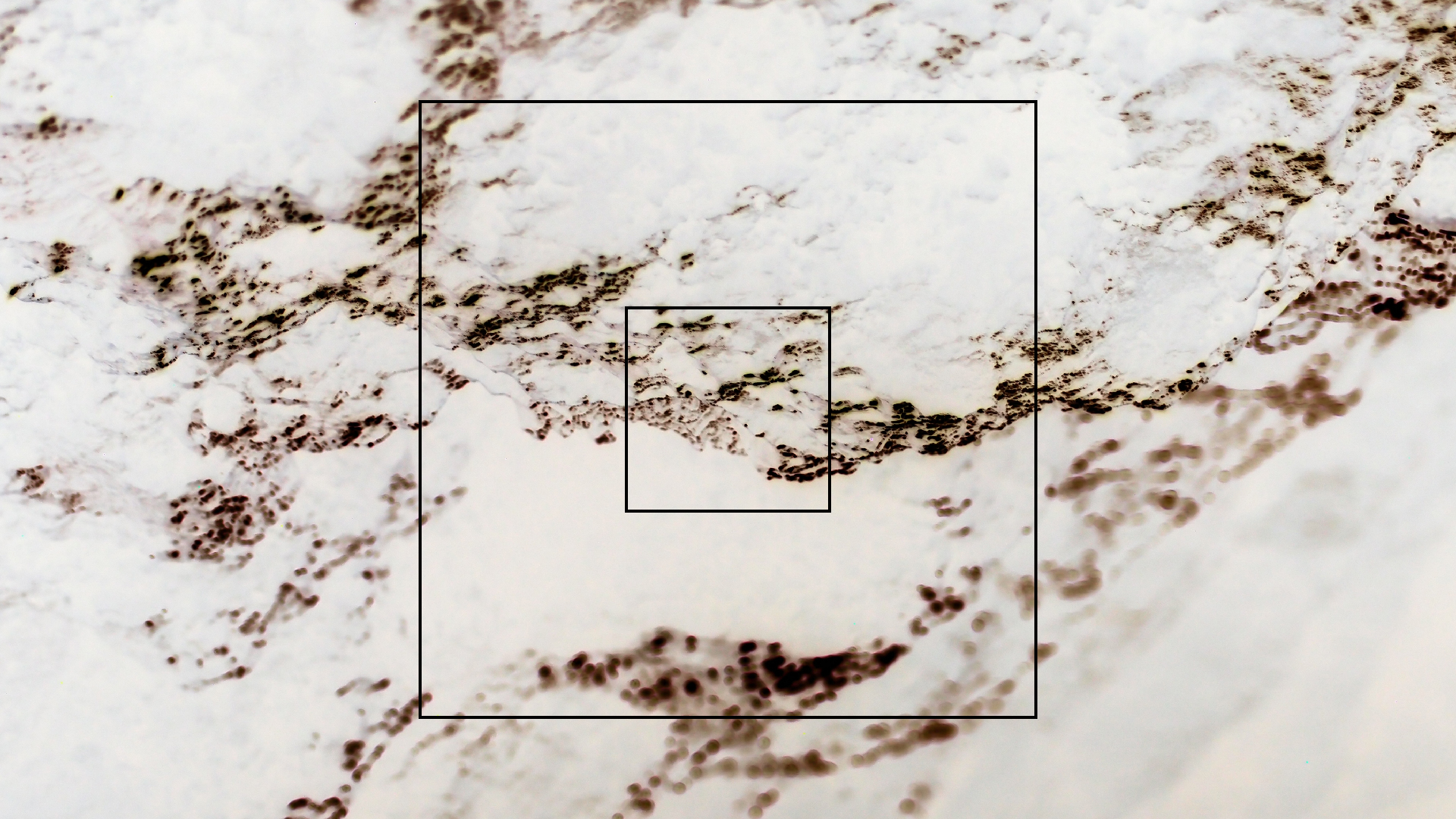 2022-04-24 Shete Boka Nationalpark (Foto, Video)