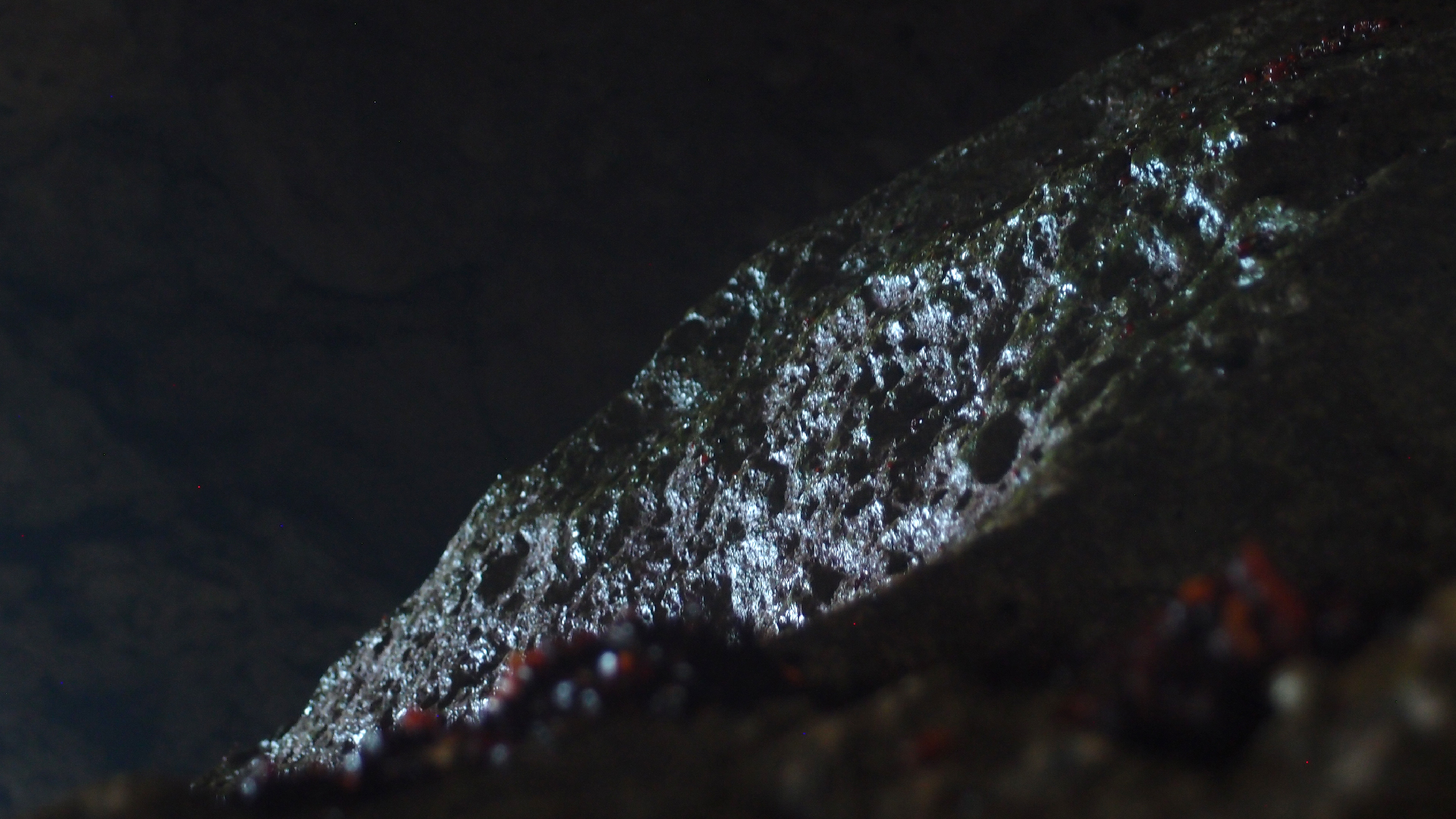 2022-04-24 Shete Boka Nationalpark (Foto, Video)