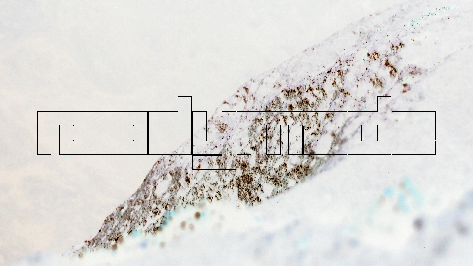 2022-04-24 Shete Boka Nationalpark (Foto, Video)